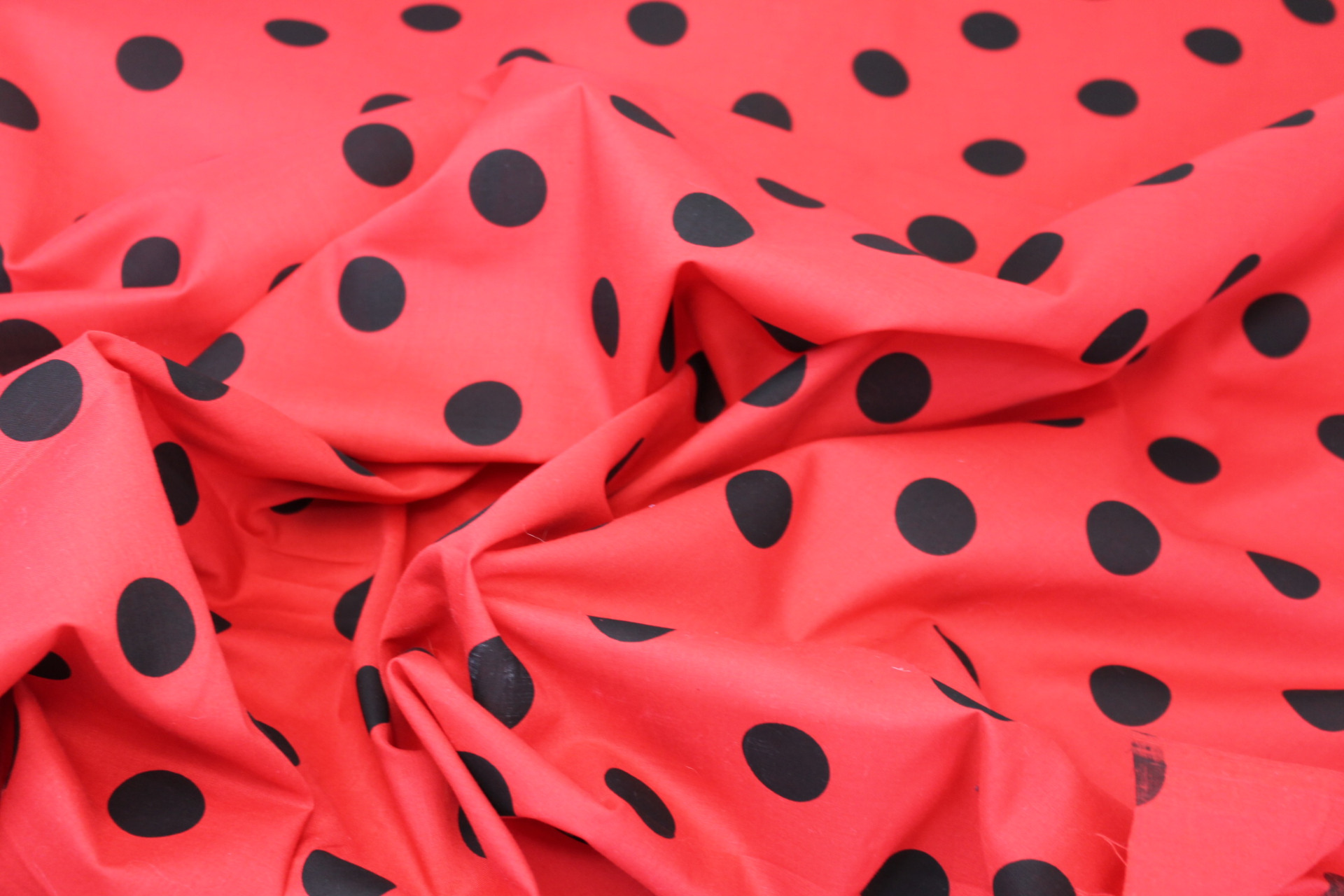 Polka Dot / Spot Cotton - Black and Red fabric, image 2 of 6