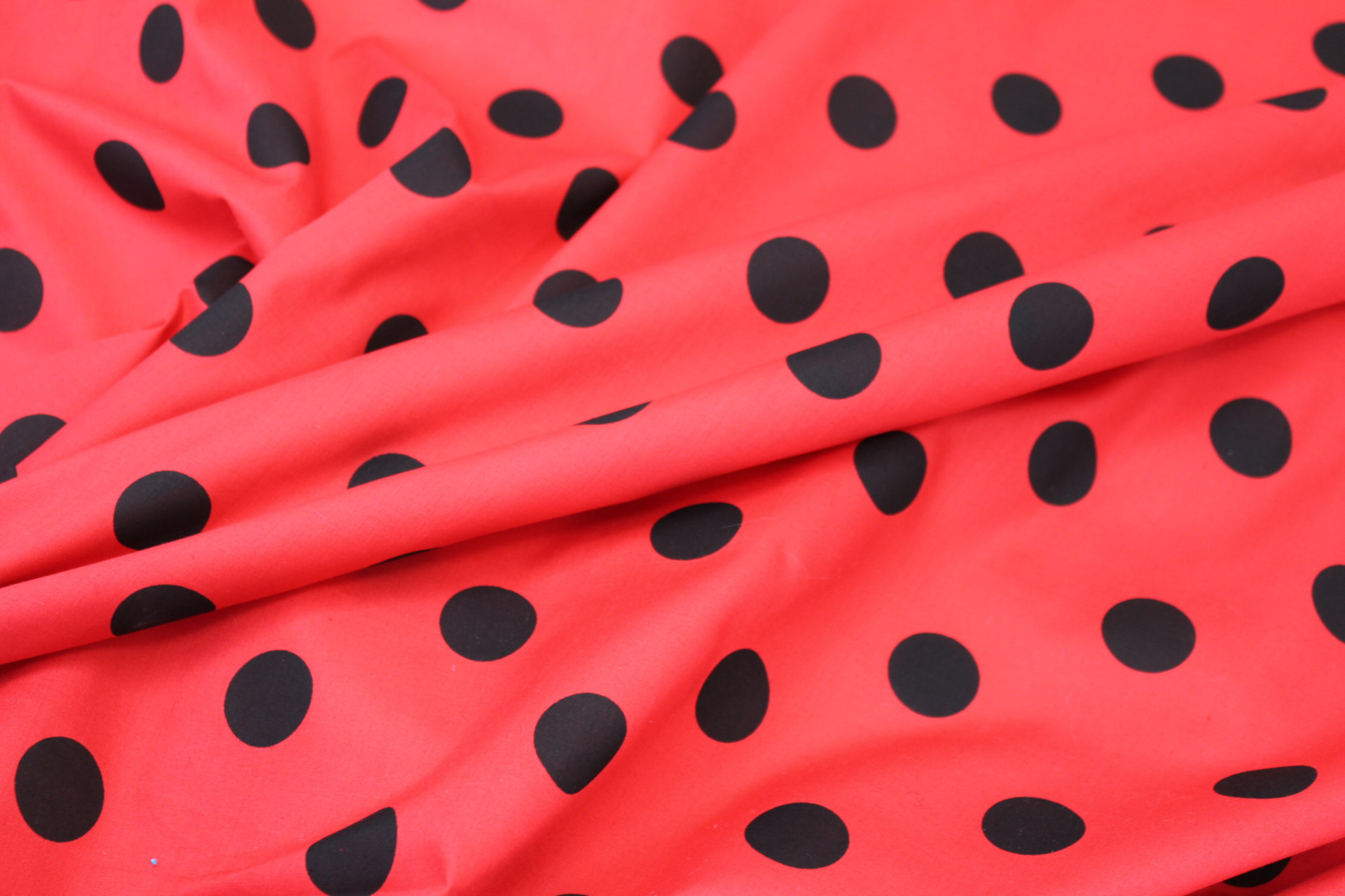 Polka Dot / Spot Cotton - Black and Red fabric, image 6 of 6
