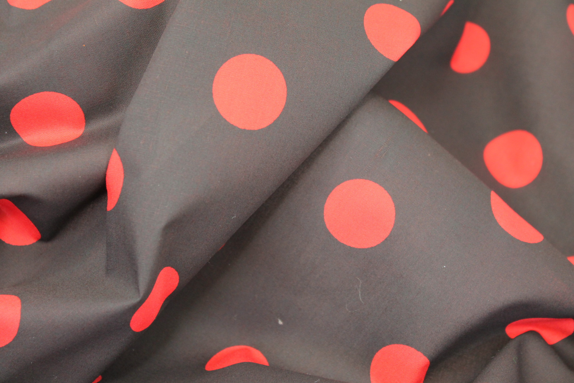 Polka Dot / Spot Cotton - Black with Red Dots fabric