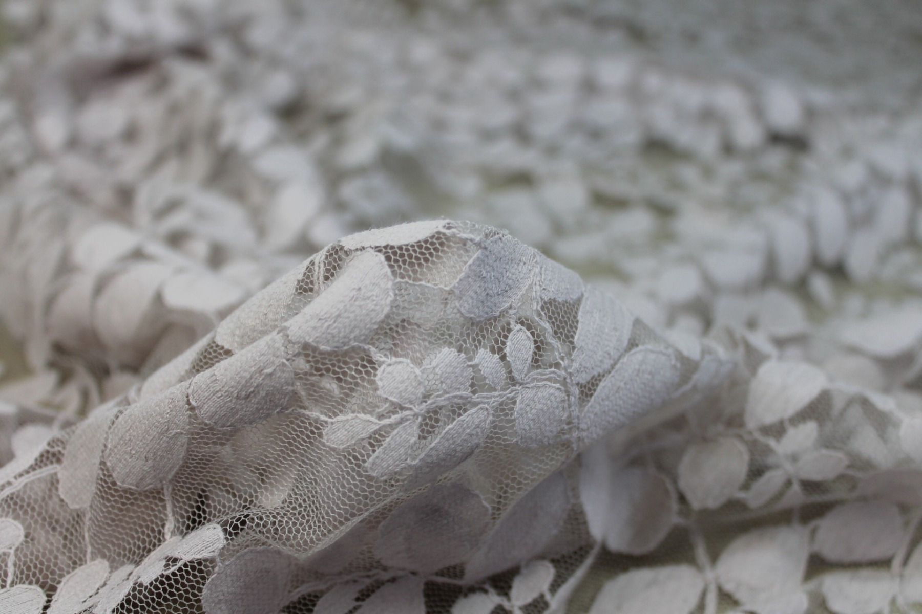 Leaf Pattern Lace - Oyster fabric, image 4 of 6