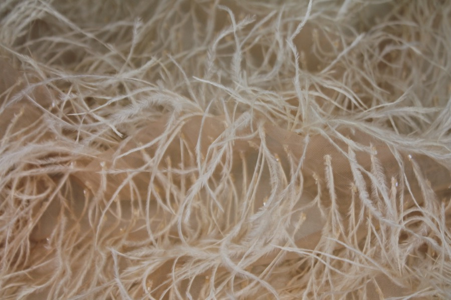 Beads and Ostrich Feathers on Tulle - Nude fabric, image 2 of 6