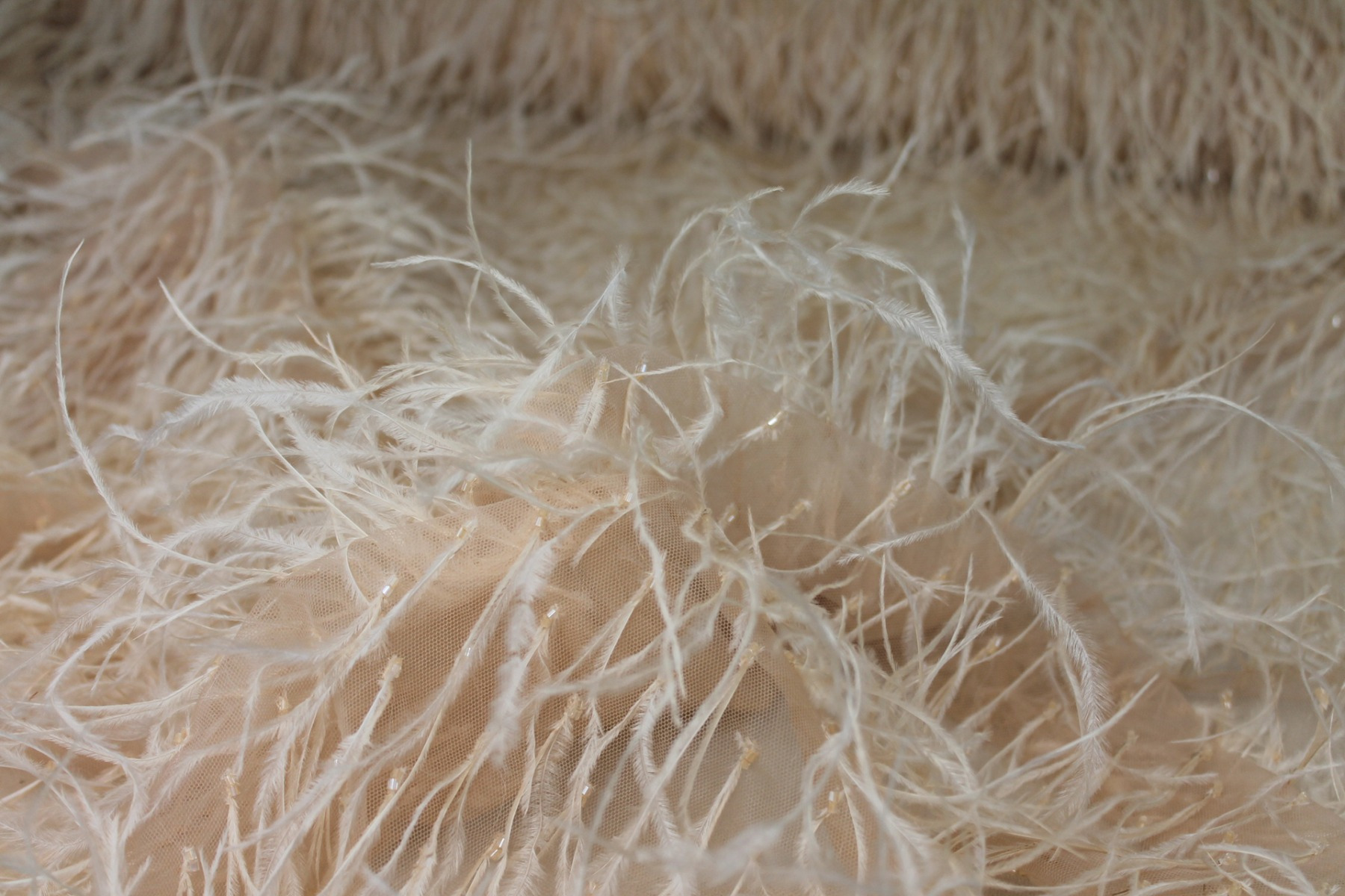 Beads and Ostrich Feathers on Tulle - Nude fabric, image 4 of 6