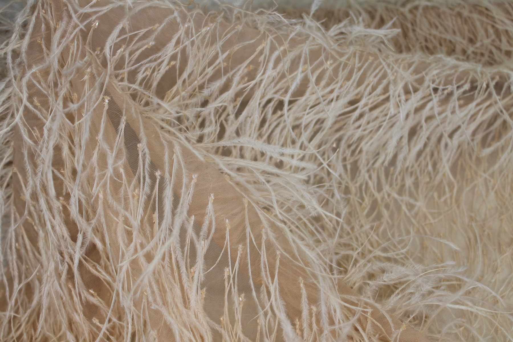 Beads and Ostrich Feathers on Tulle - Nude fabric, image 5 of 6