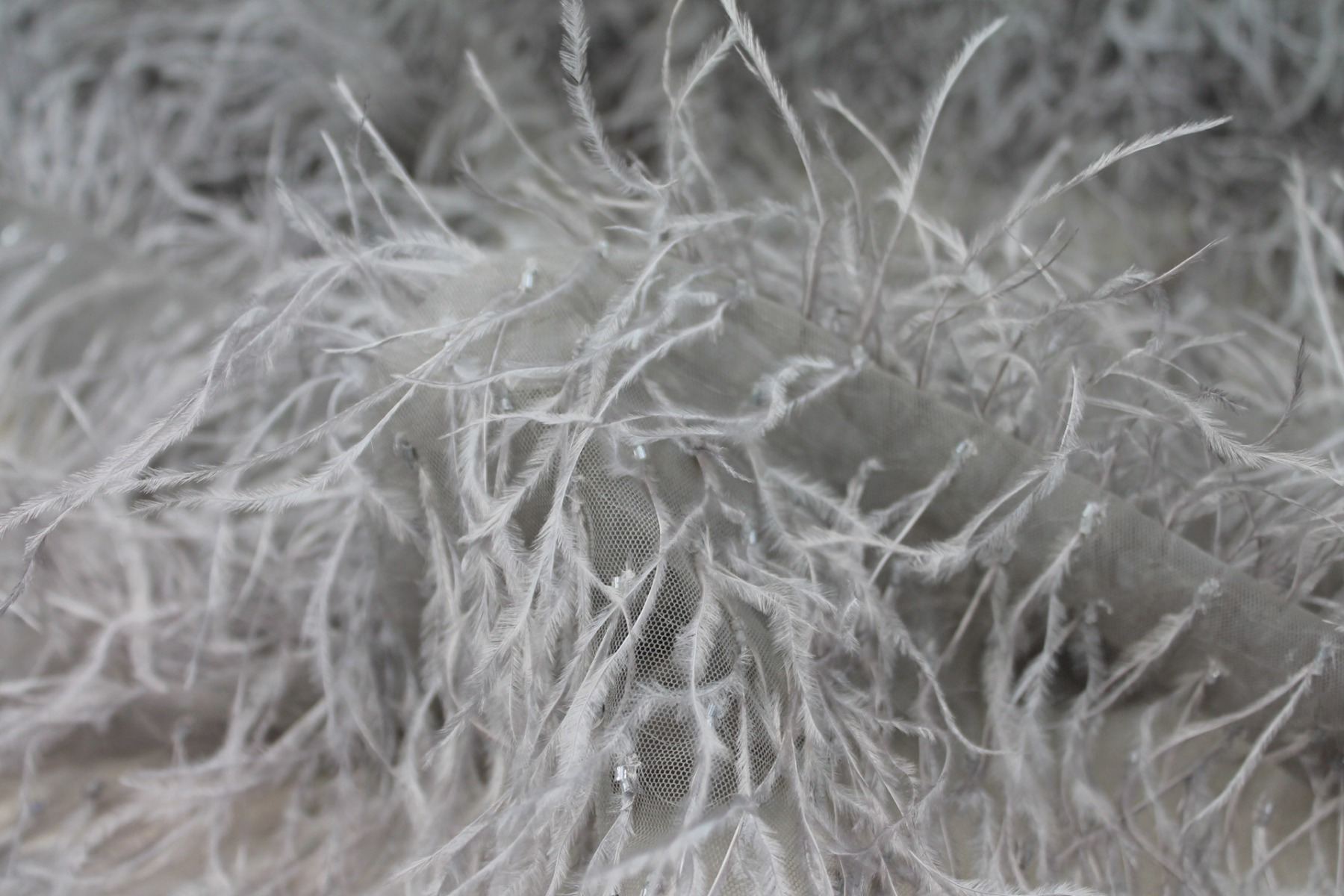 Beads and Ostrich Feathers on Tulle - Smoke Grey fabric