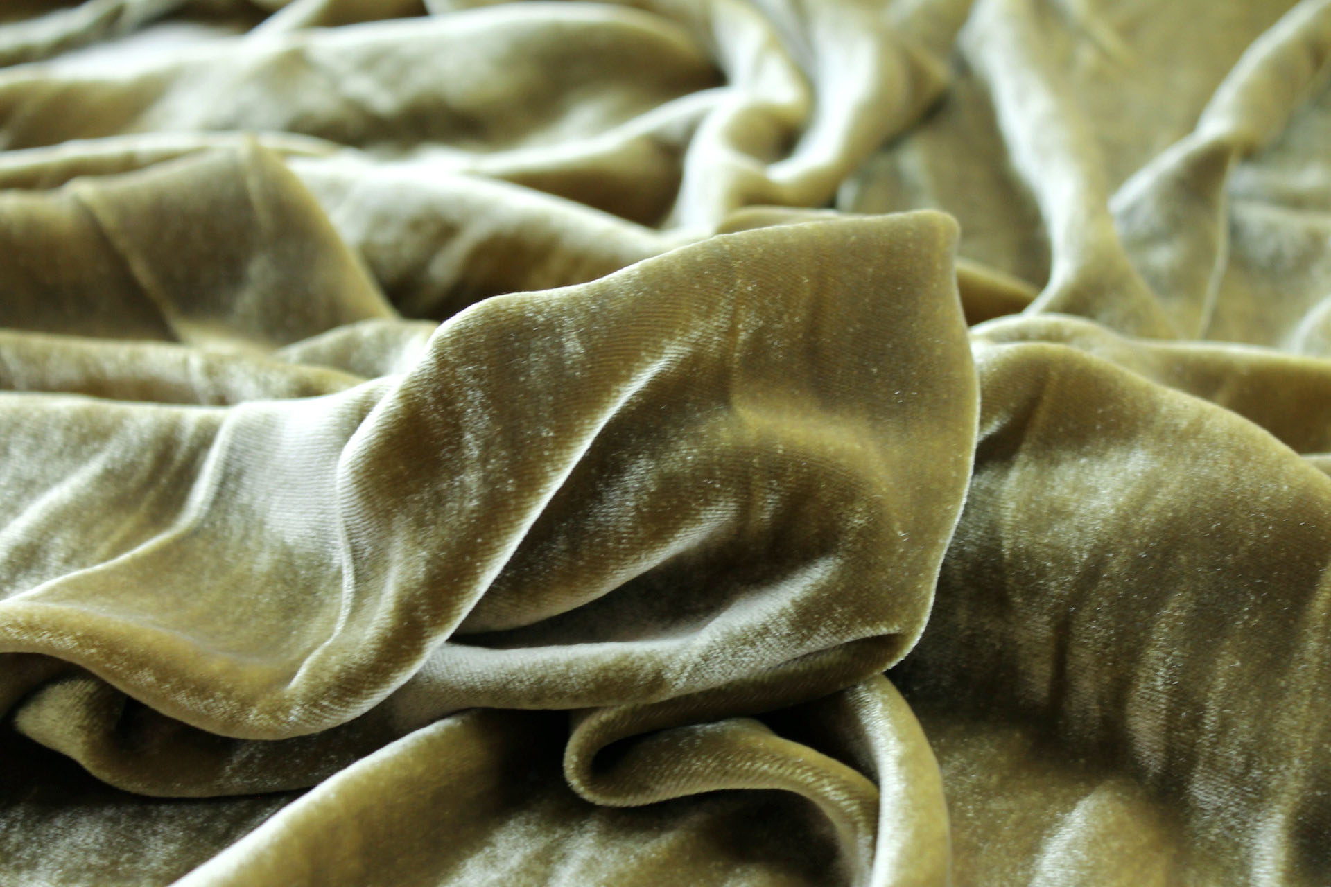 Silk Velvet - "Avocado" fabric, image 3 of 5