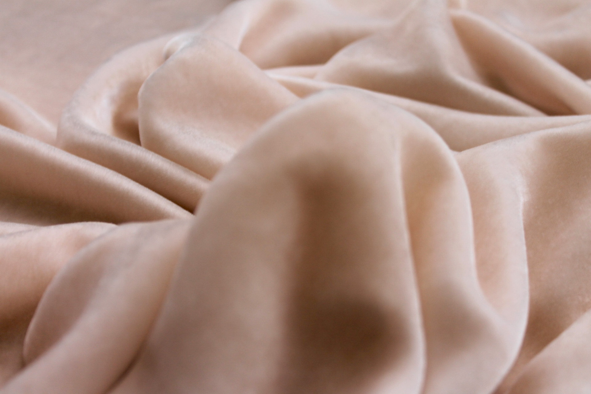 Silk Velvet - Blush fabric, image 6 of 6