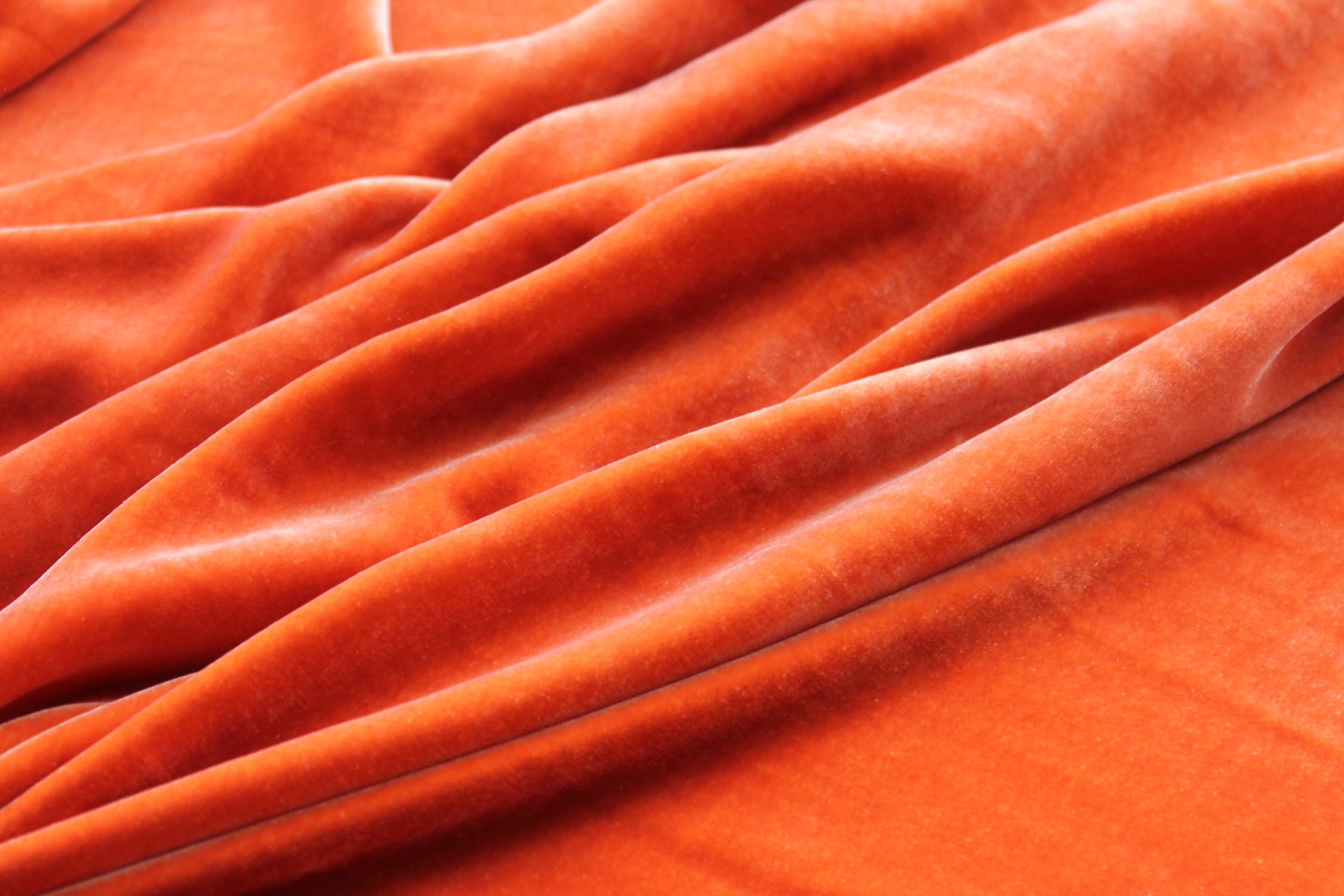 Silk Velvet - "Muscade" fabric, image 3 of 5