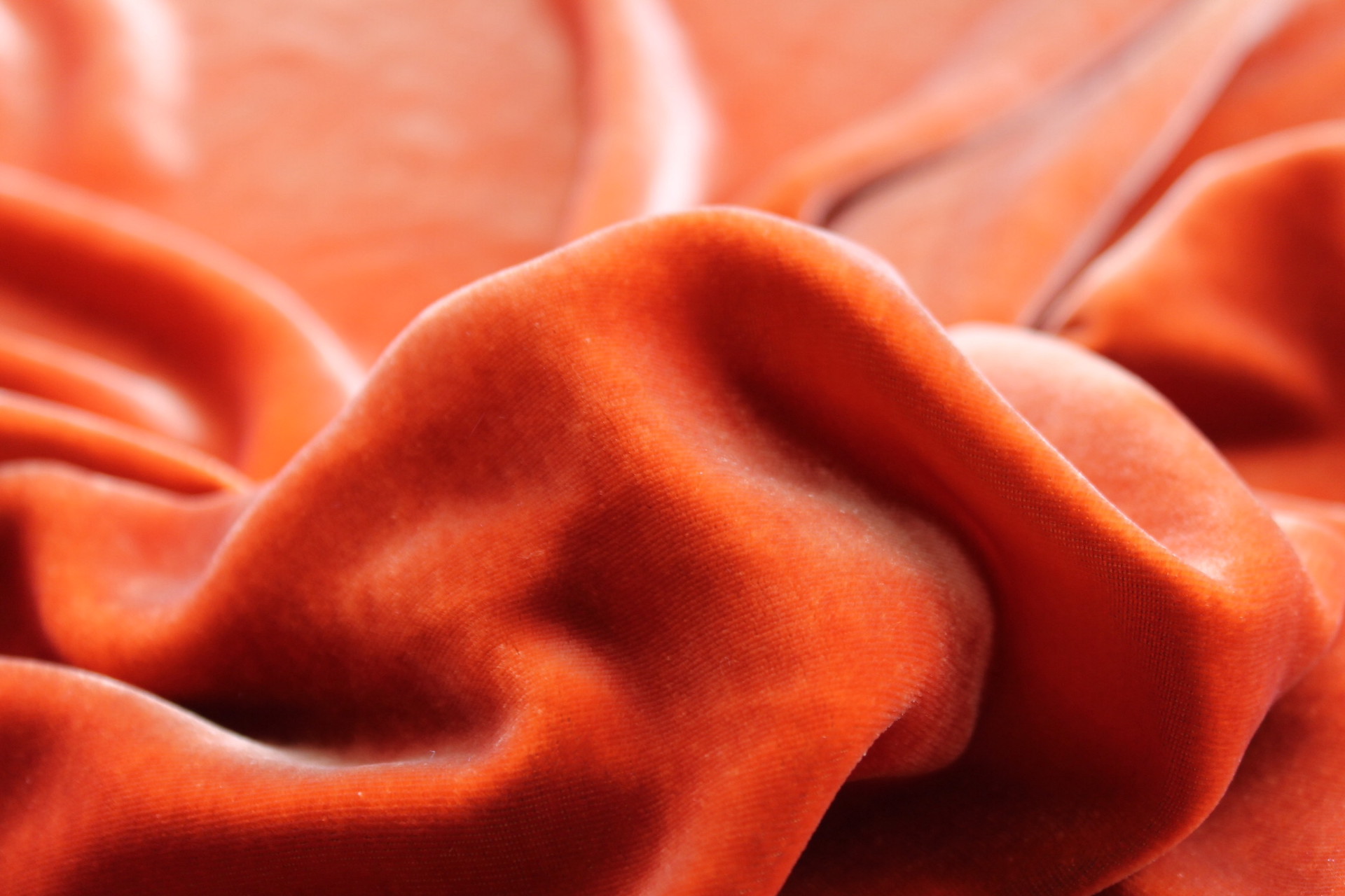 Silk Velvet - "Muscade" fabric, image 4 of 5