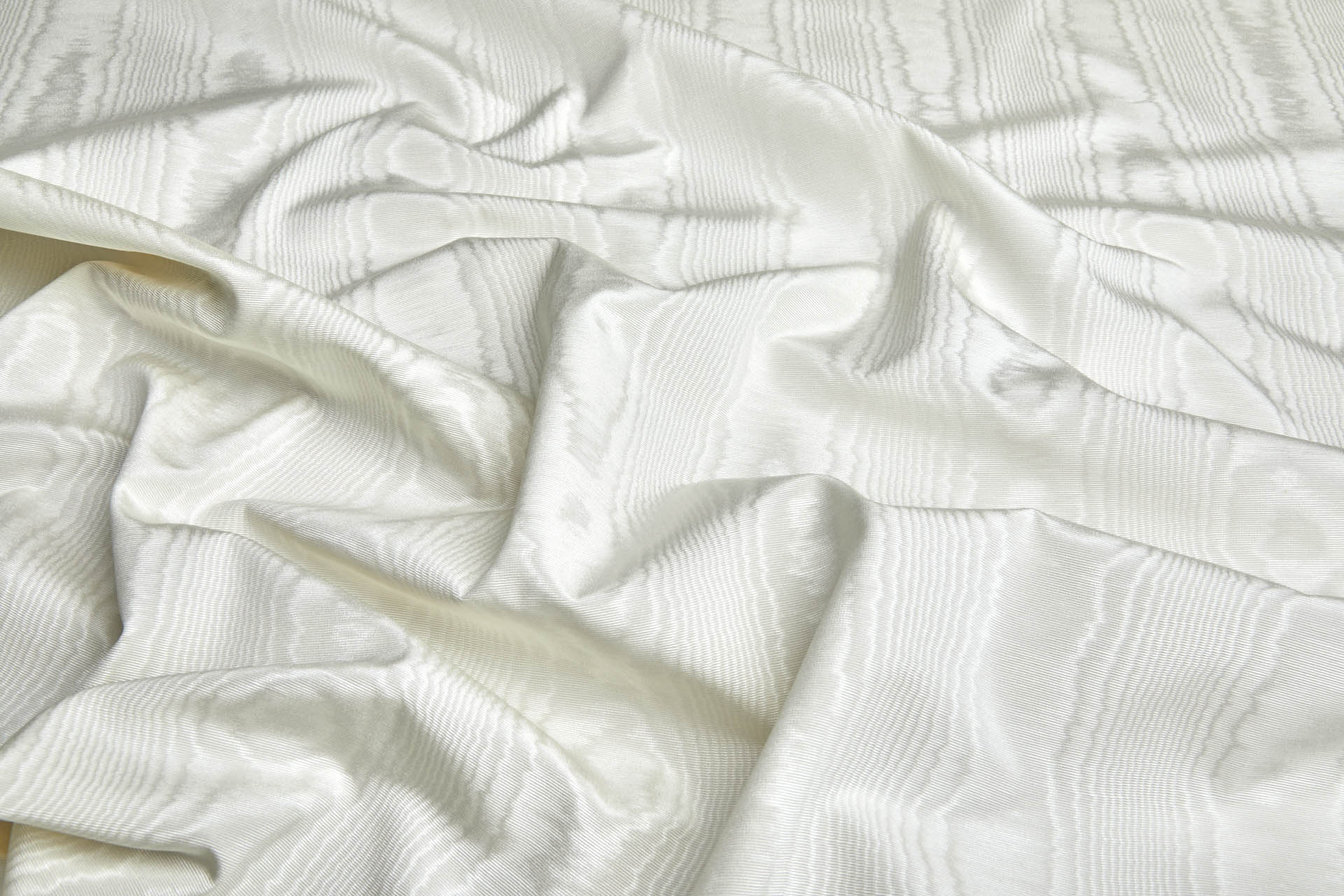 Cotton Viscose Grosgrain - Ivory Moiré fabric, image 2 of 6