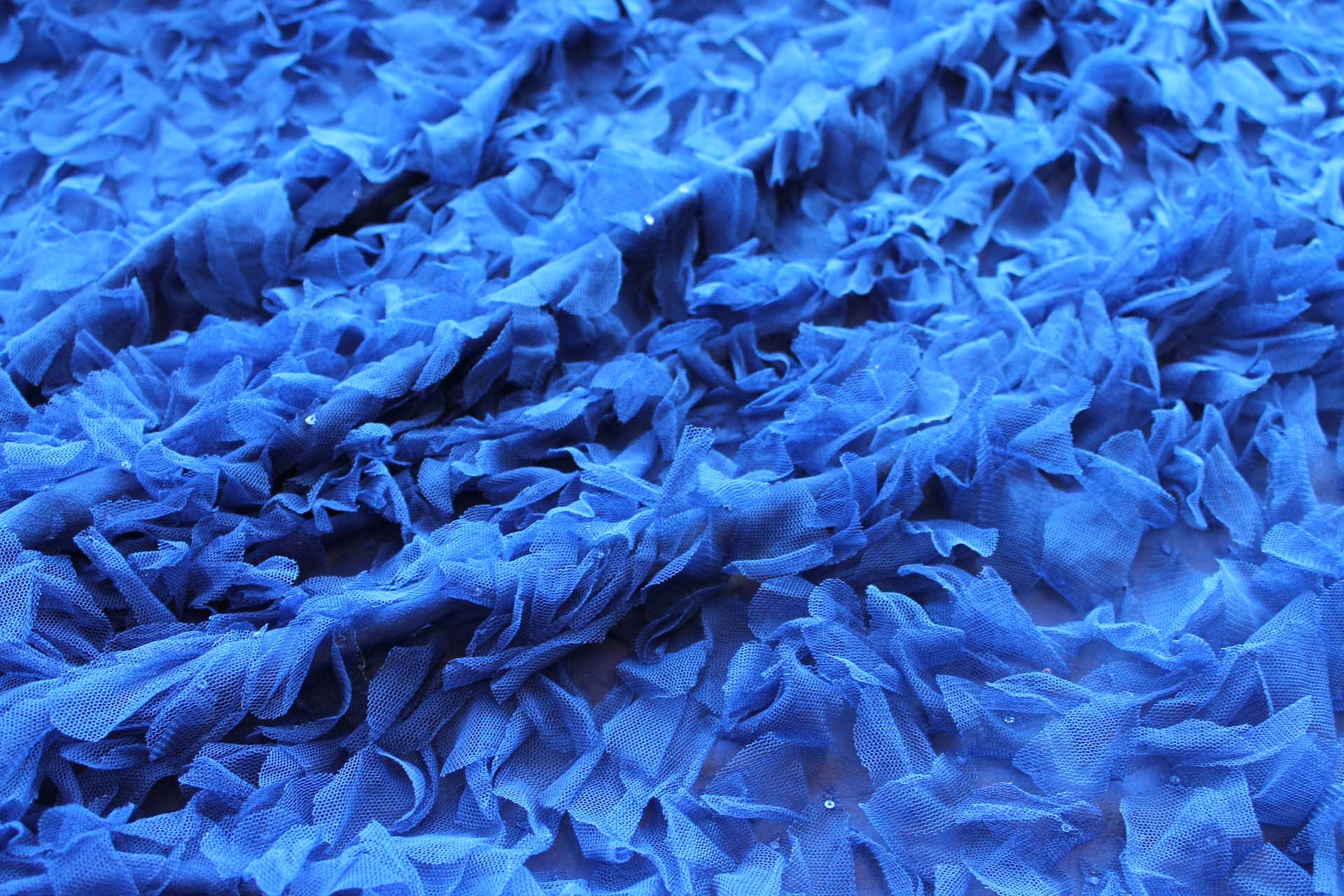 Petal Tulle on Silk Chiffon - Royal Blue fabric, image 5 of 6