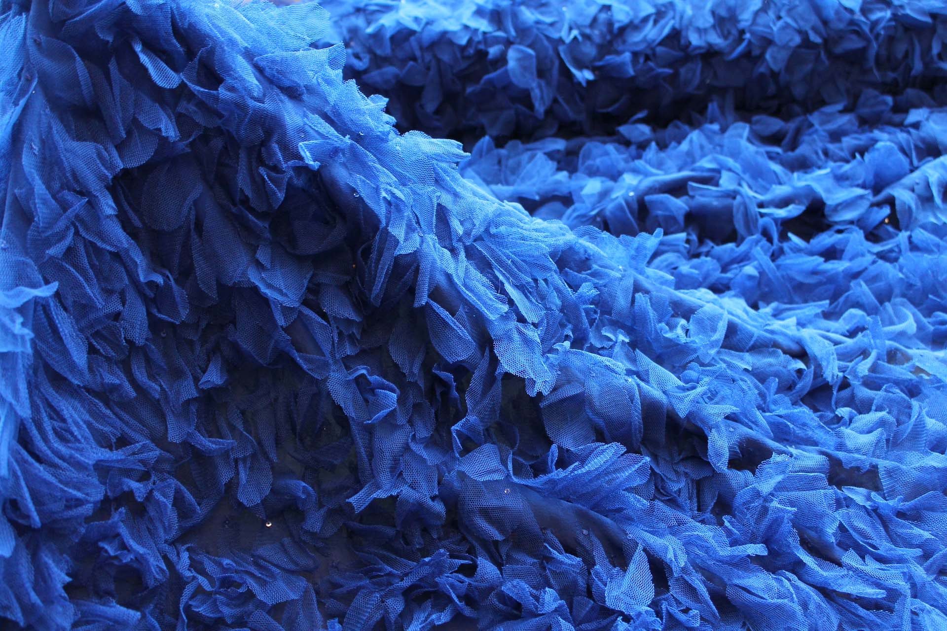 Petal Tulle on Silk Chiffon - Royal Blue fabric