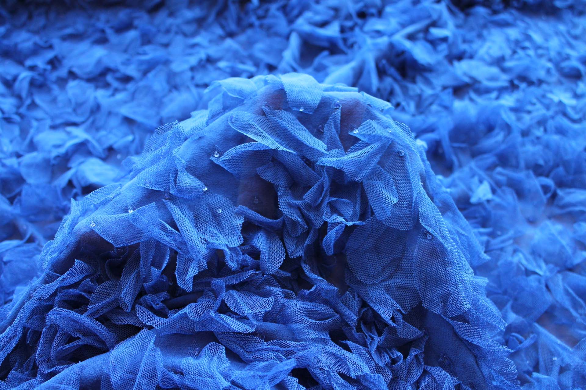Petal Tulle on Silk Chiffon - Royal Blue fabric, image 6 of 6