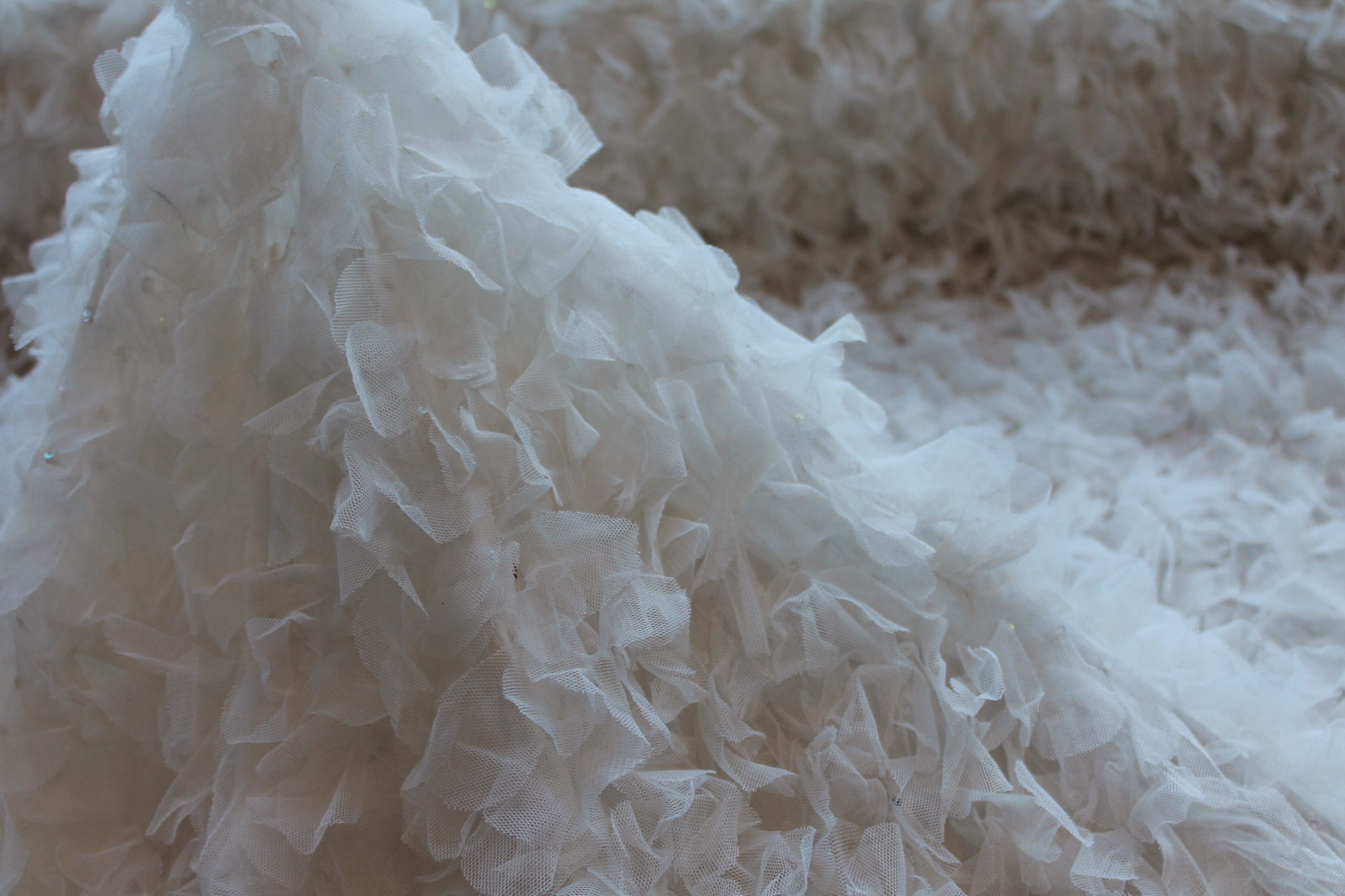 Petal Tulle on Silk Chiffon - Ivory fabric, image 5 of 10