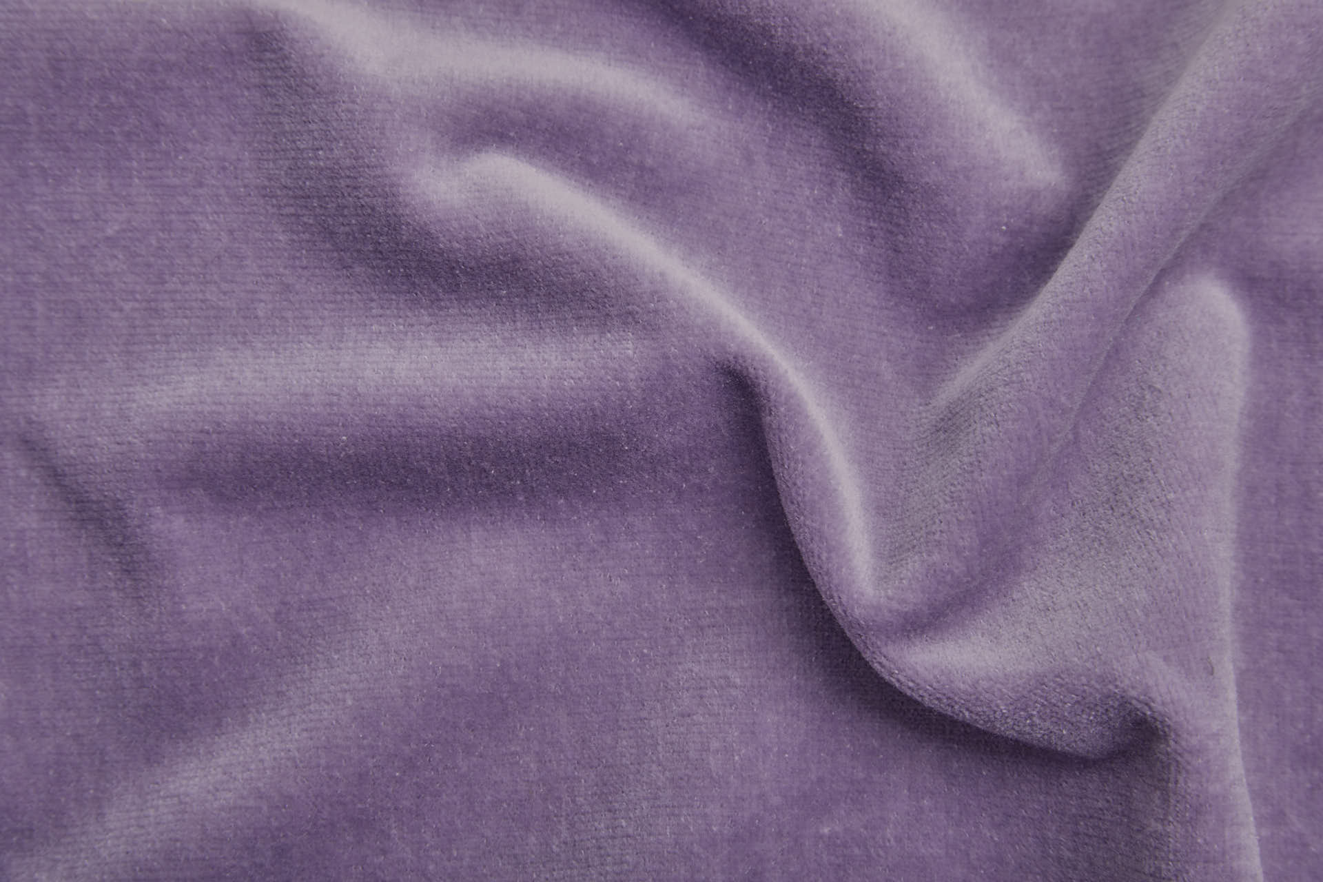 Heavy Cotton Velvet - Lilac fabric, image 4 of 5