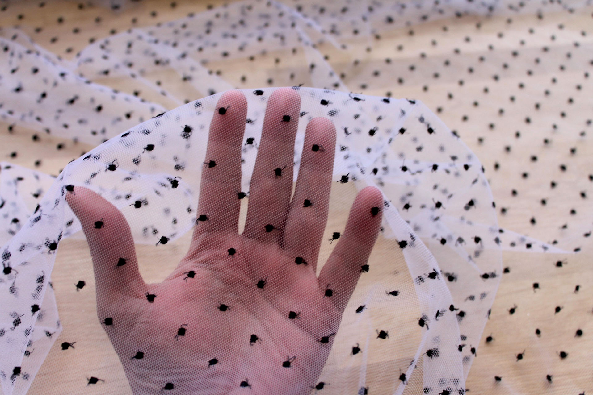 Embroidered Polka Dot / Spot Tulle - Small Black on White fabric, image 5 of 5