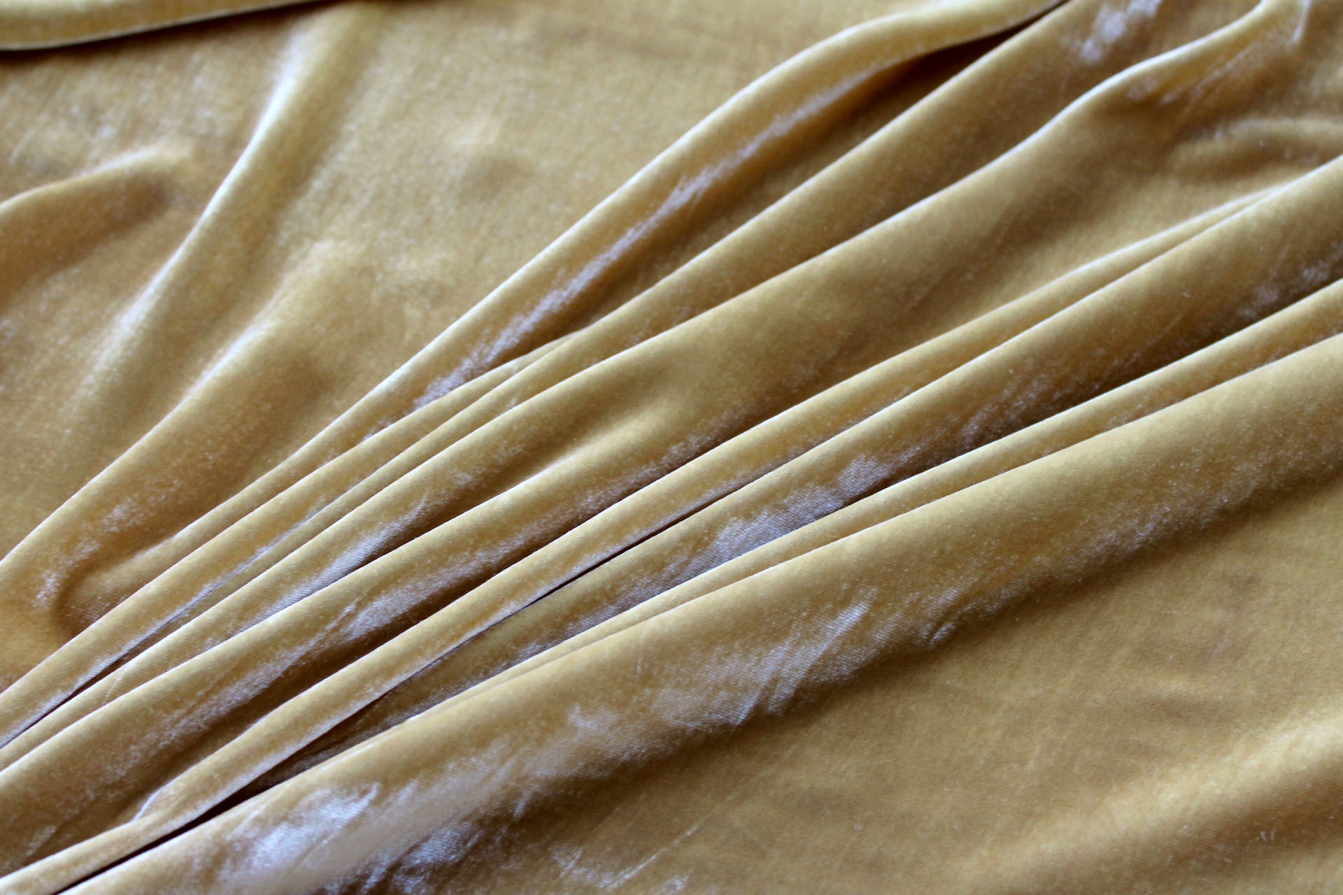Silk Velvet - Lemon Ginger fabric, image 2 of 5