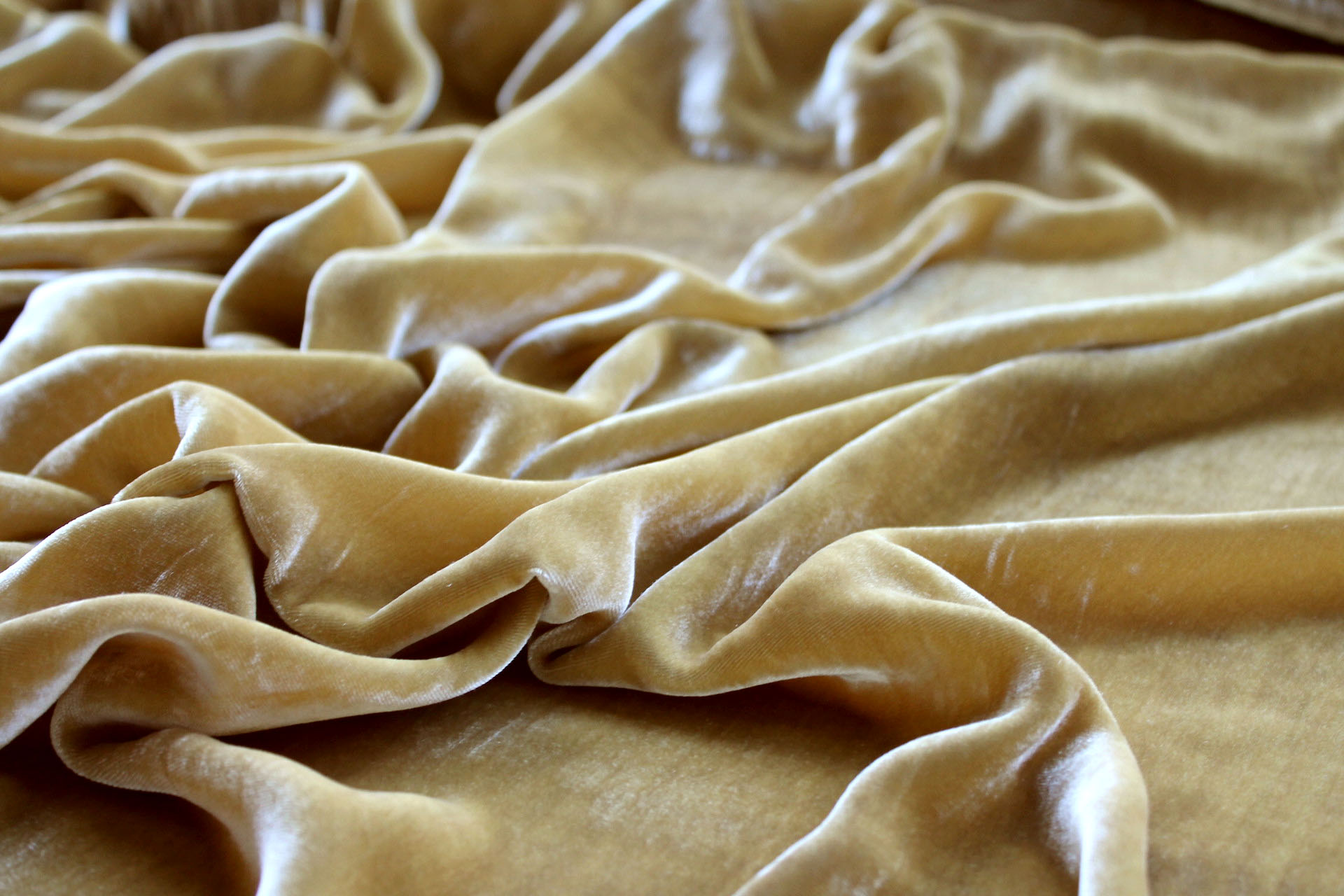 Silk Velvet - Lemon Ginger fabric, image 3 of 5