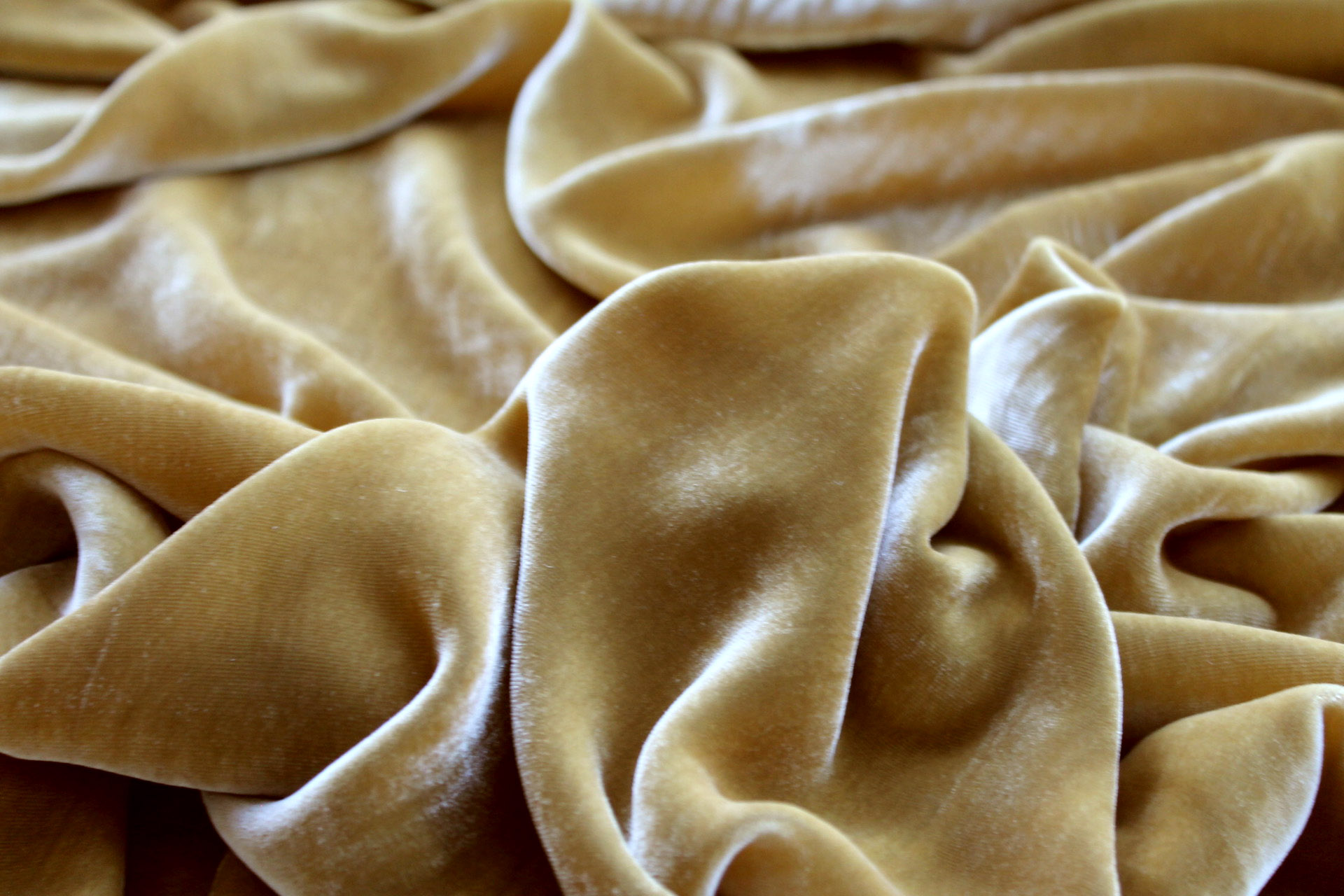 Silk Velvet - Lemon Ginger fabric, image 5 of 5