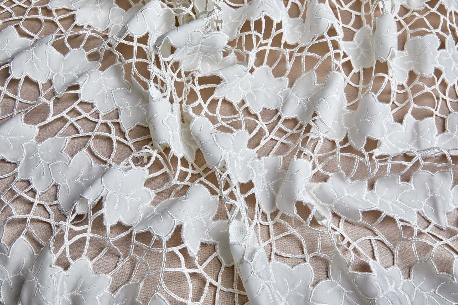 Cut Out Velvet Embroidery - Ivory Ivy fabric