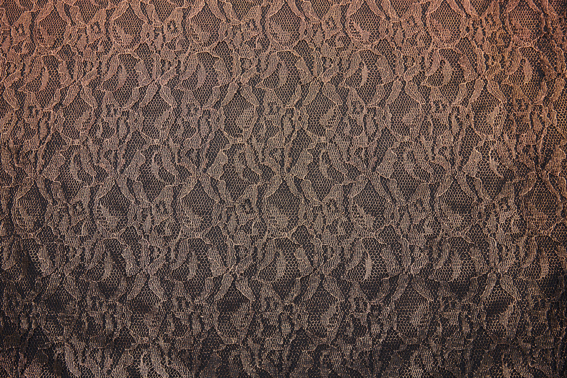 Foil Printed Lace - Black Copper fabric, image 9 of 10