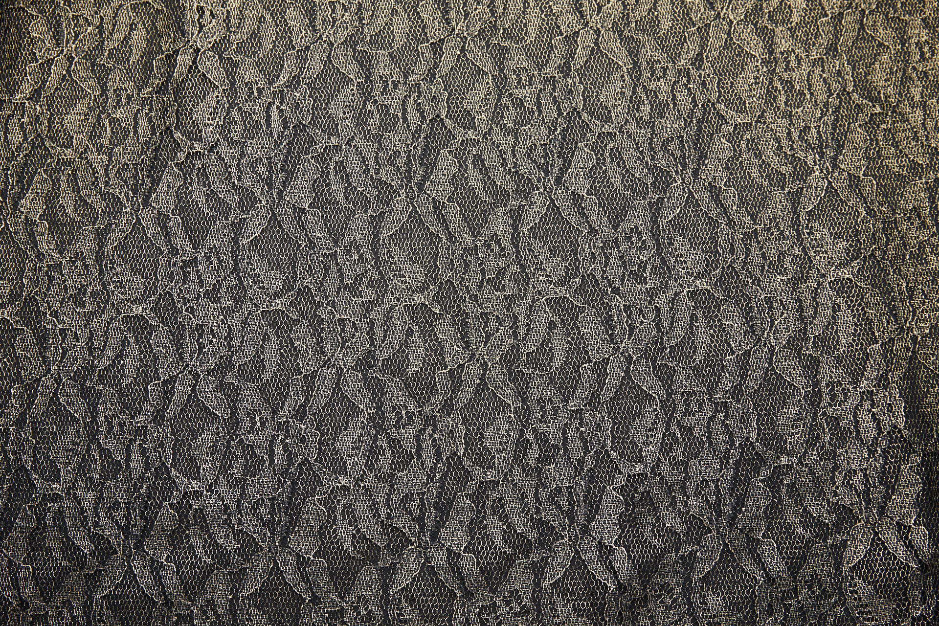 Foil Printed Lace - Black Gold fabric, image 10 of 10
