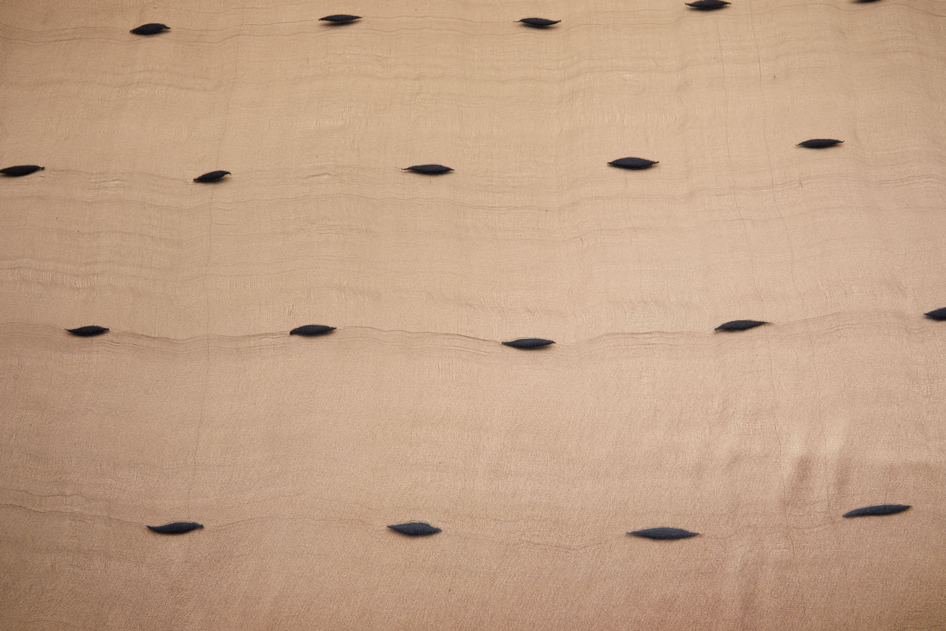 Sheer Silk Gauze with Large Cotton Slubs - Black fabric, image 7 of 9