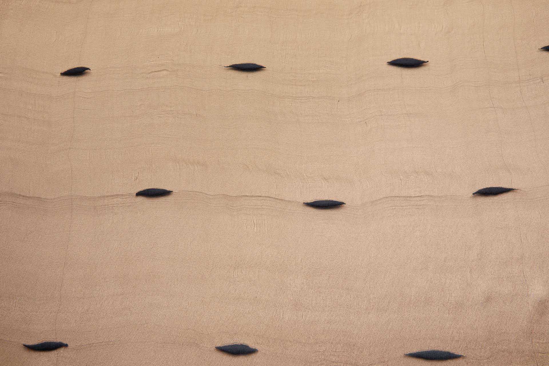 Sheer Silk Gauze with Large Cotton Slubs - Black fabric, image 4 of 9