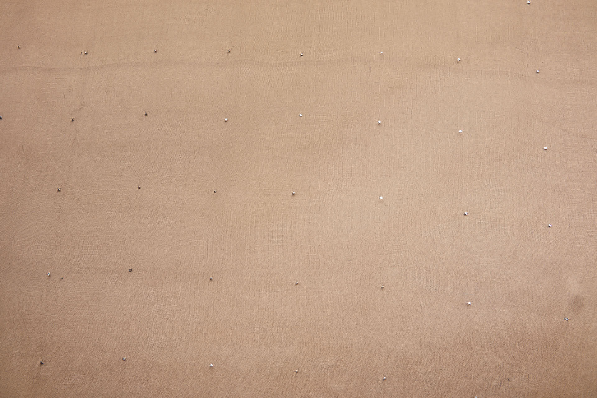 Sheer Silk Gauze with Tiny Silver Studs - Black fabric, image 10 of 12