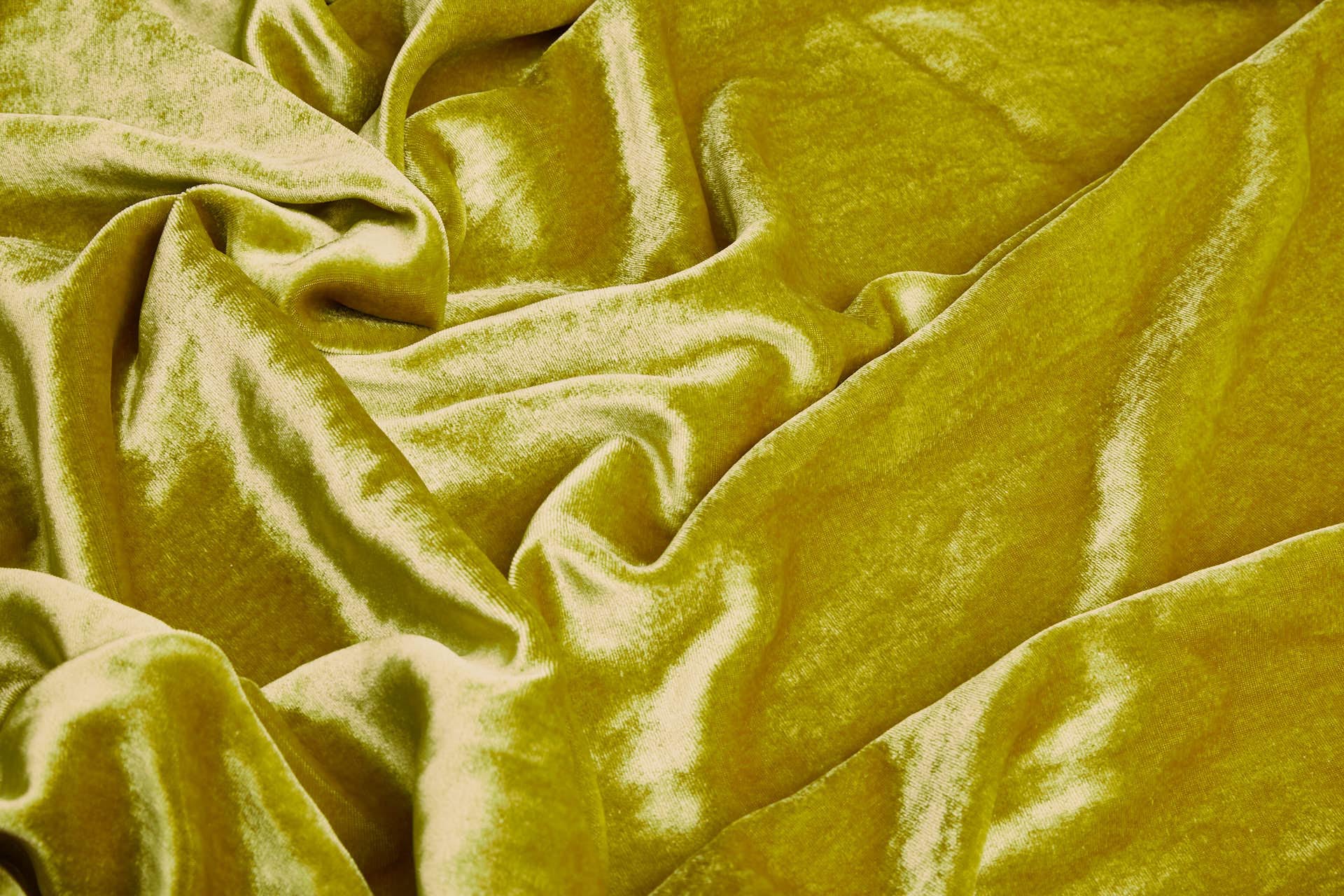 Silk Velvet - Chartreuse fabric, image 2 of 6