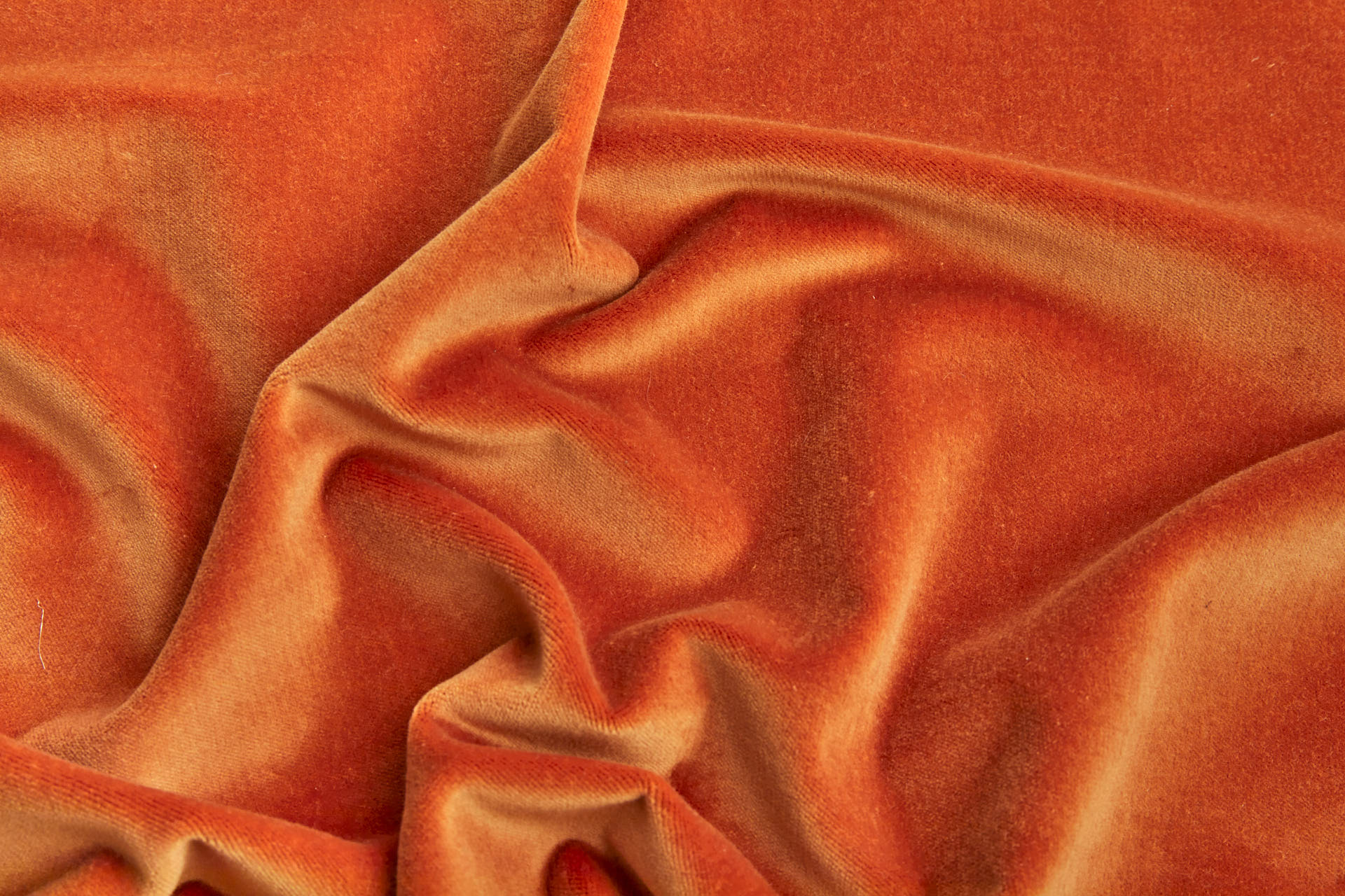 Heavy Cotton Velvet - Orange fabric, image 2 of 7