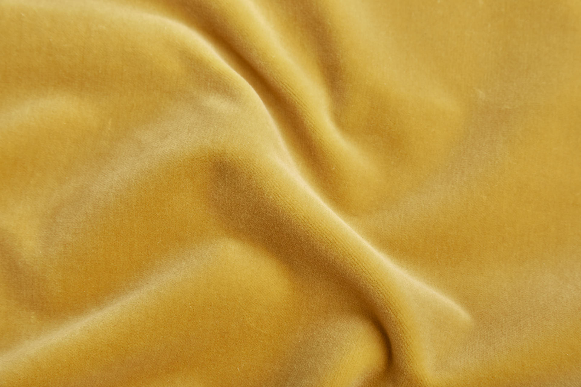Heavy Cotton Velvet - Sunflower fabric, image 2 of 7