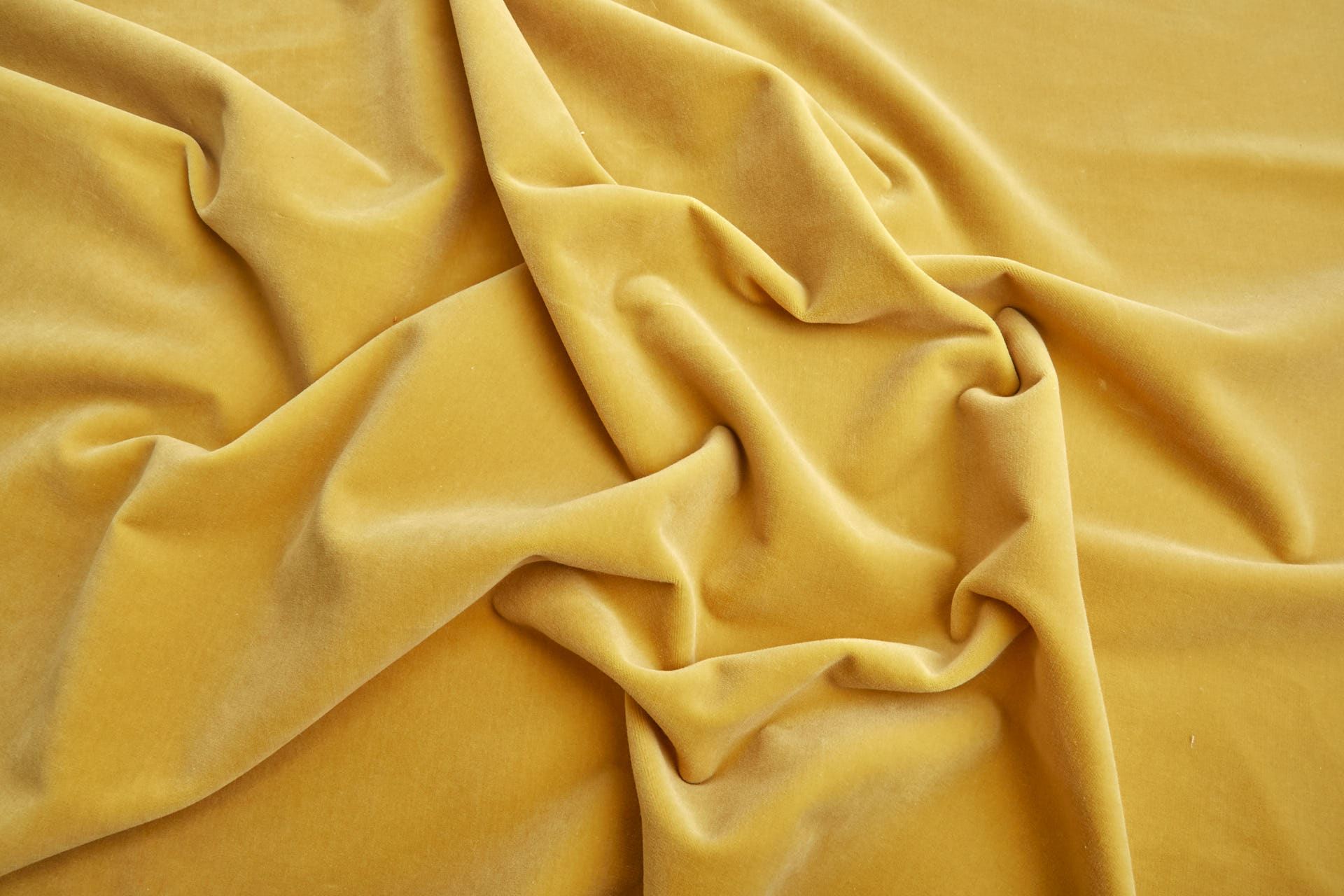 Heavy Cotton Velvet - Sunflower fabric, image 5 of 7