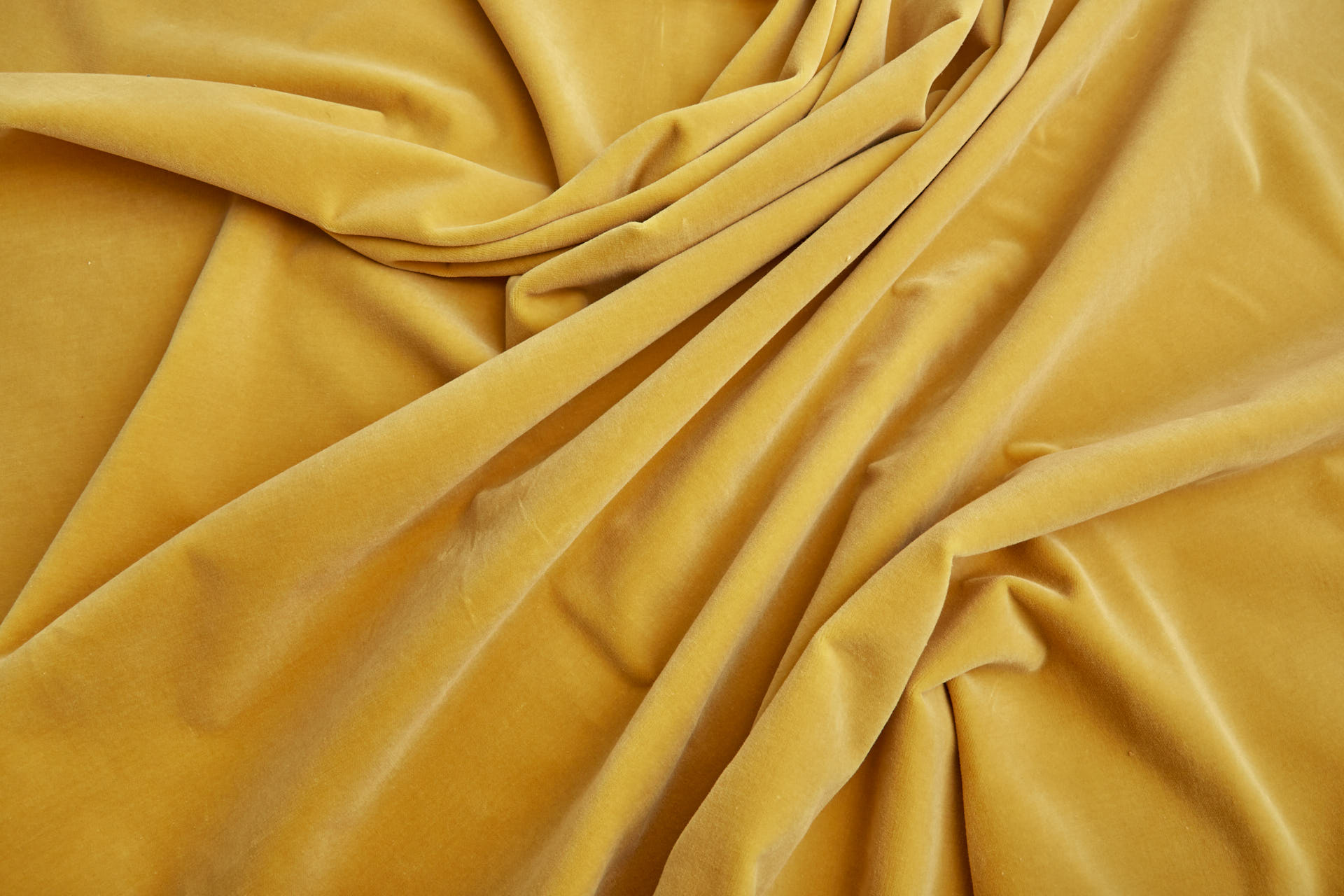 Heavy Cotton Velvet - Sunflower fabric, image 6 of 7