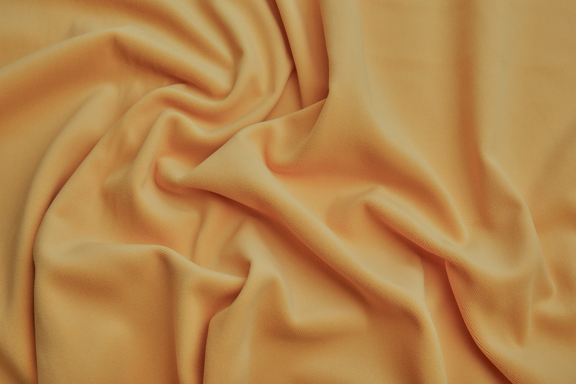 Heavy Cotton Velvet - Egg Yolk fabric, image 5 of 5