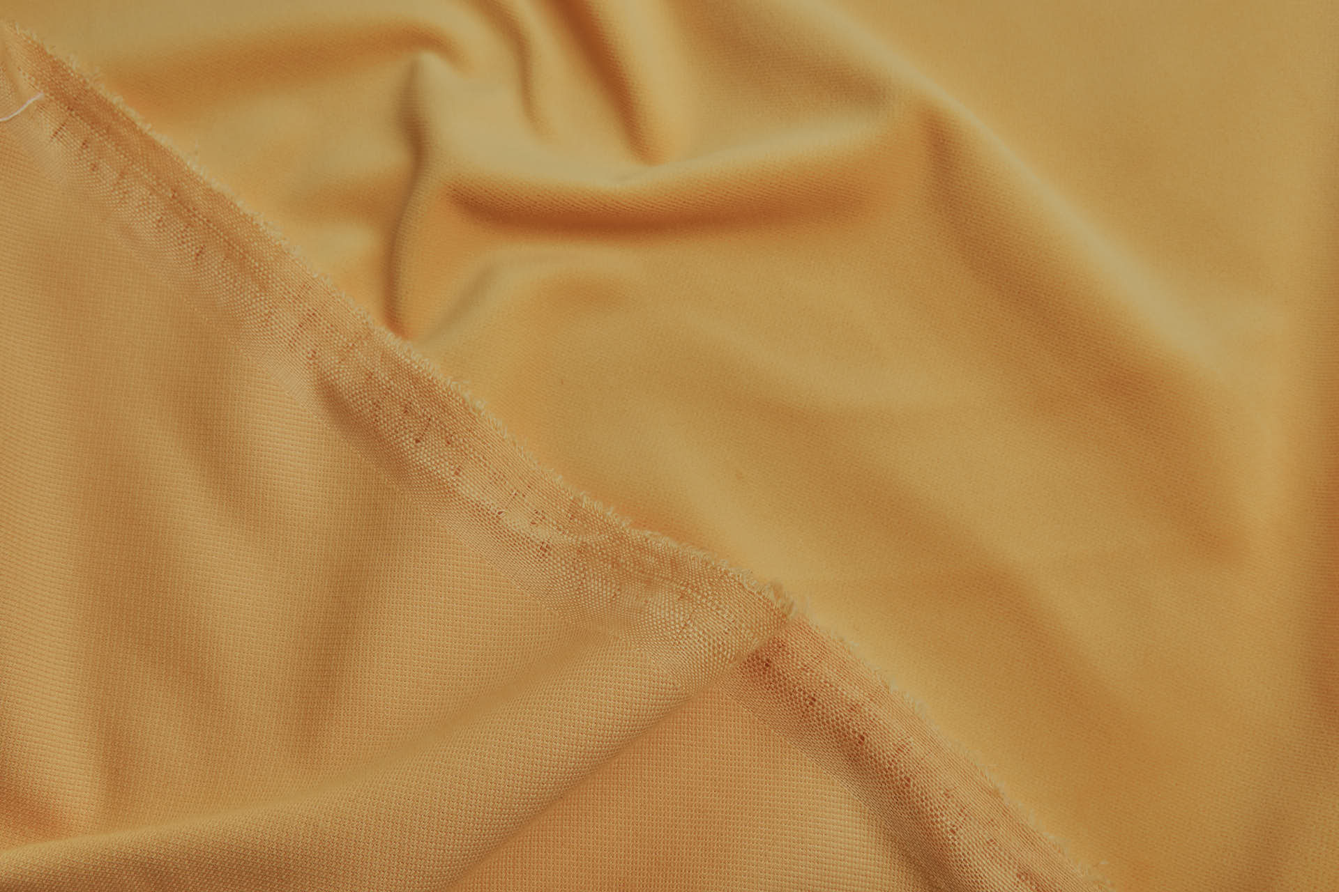 Heavy Cotton Velvet - Egg Yolk fabric, image 3 of 5