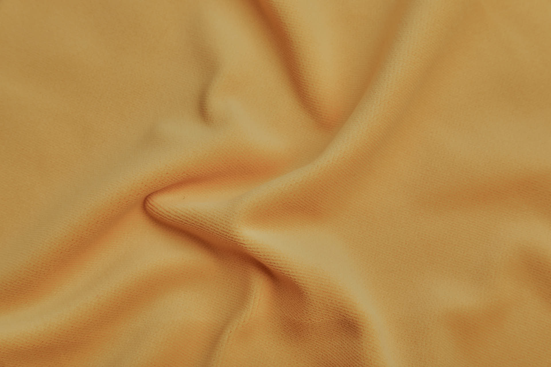 Heavy Cotton Velvet - Egg Yolk fabric, image 4 of 5