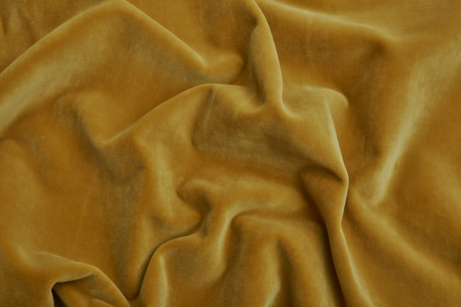 Heavy Cotton Velvet - Ginger fabric, image 5 of 5