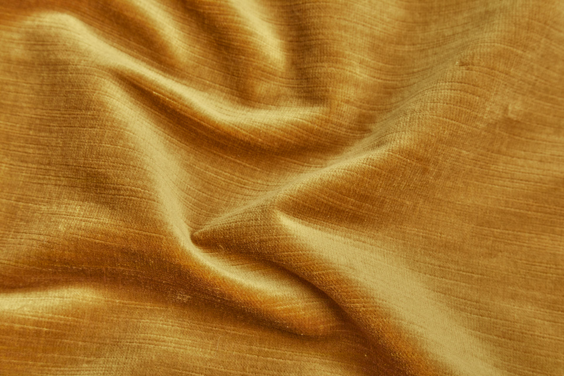Textured Cotton Velvet - Ochre fabric, image 2 of 7