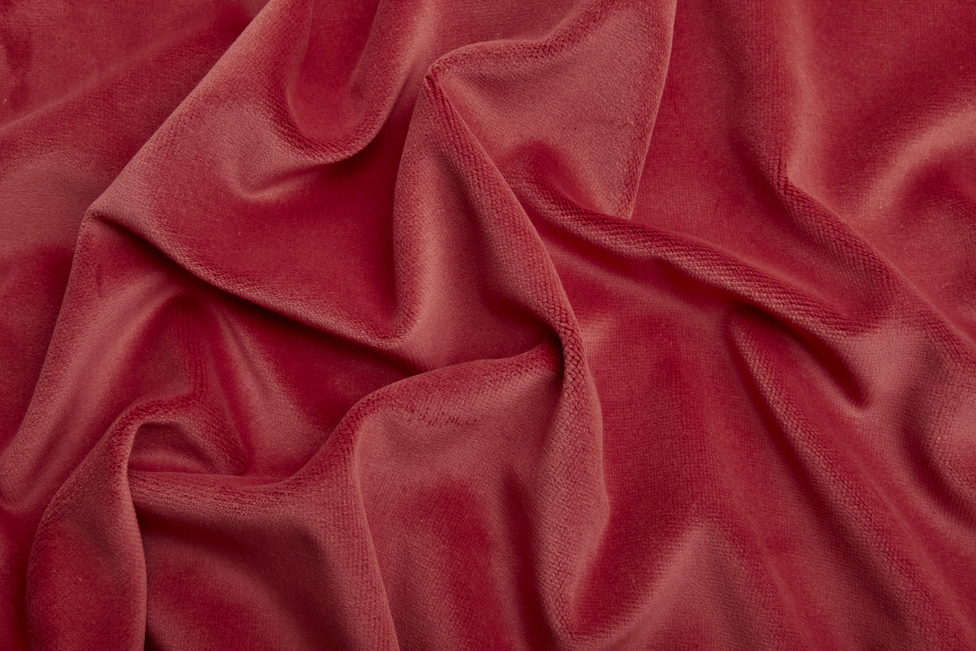 Heavy Cotton Velvet - Chilli fabric, image 2 of 5