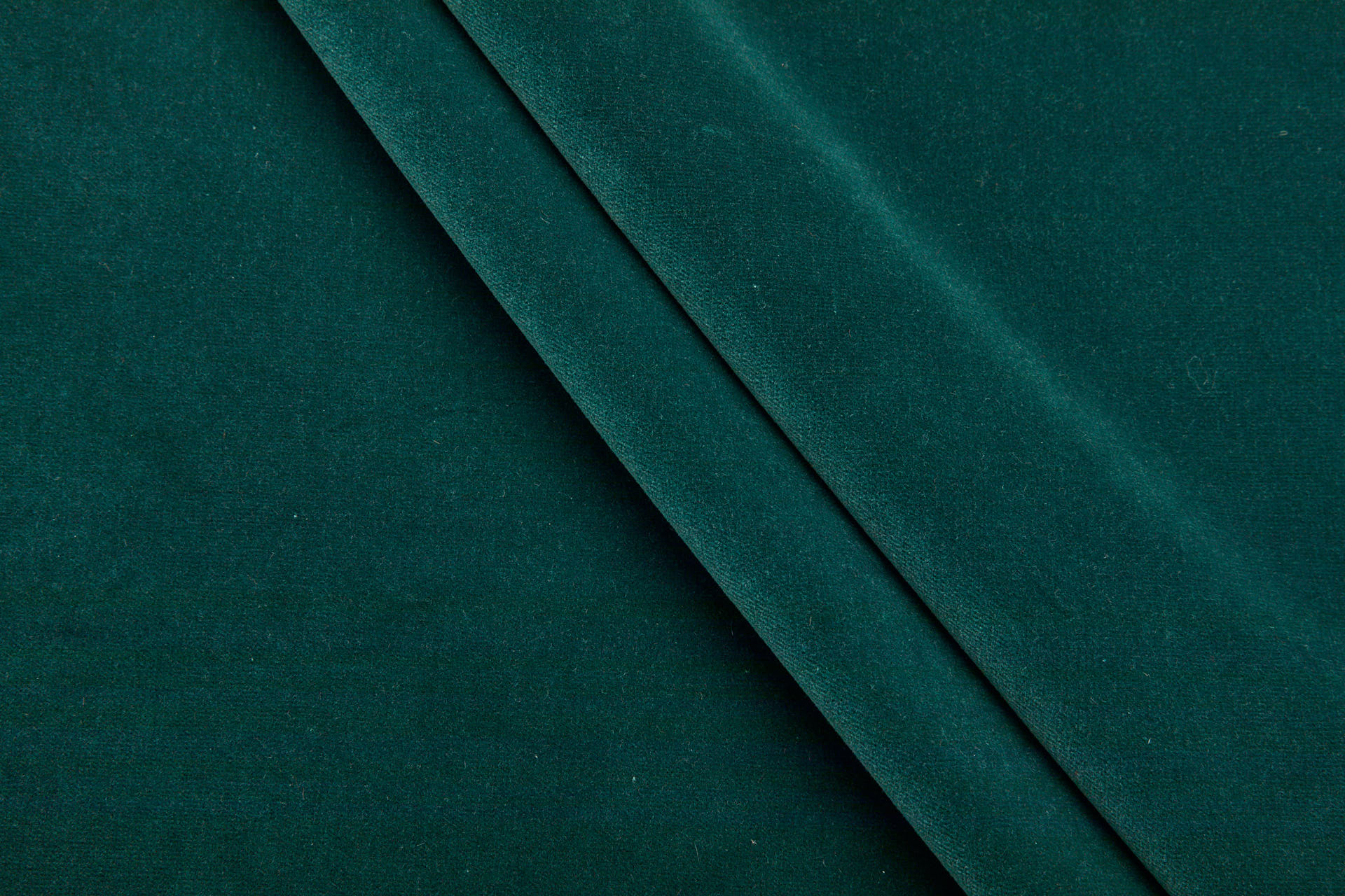 Heavy Cotton Velvet - Dark Fern fabric, image 3 of 7