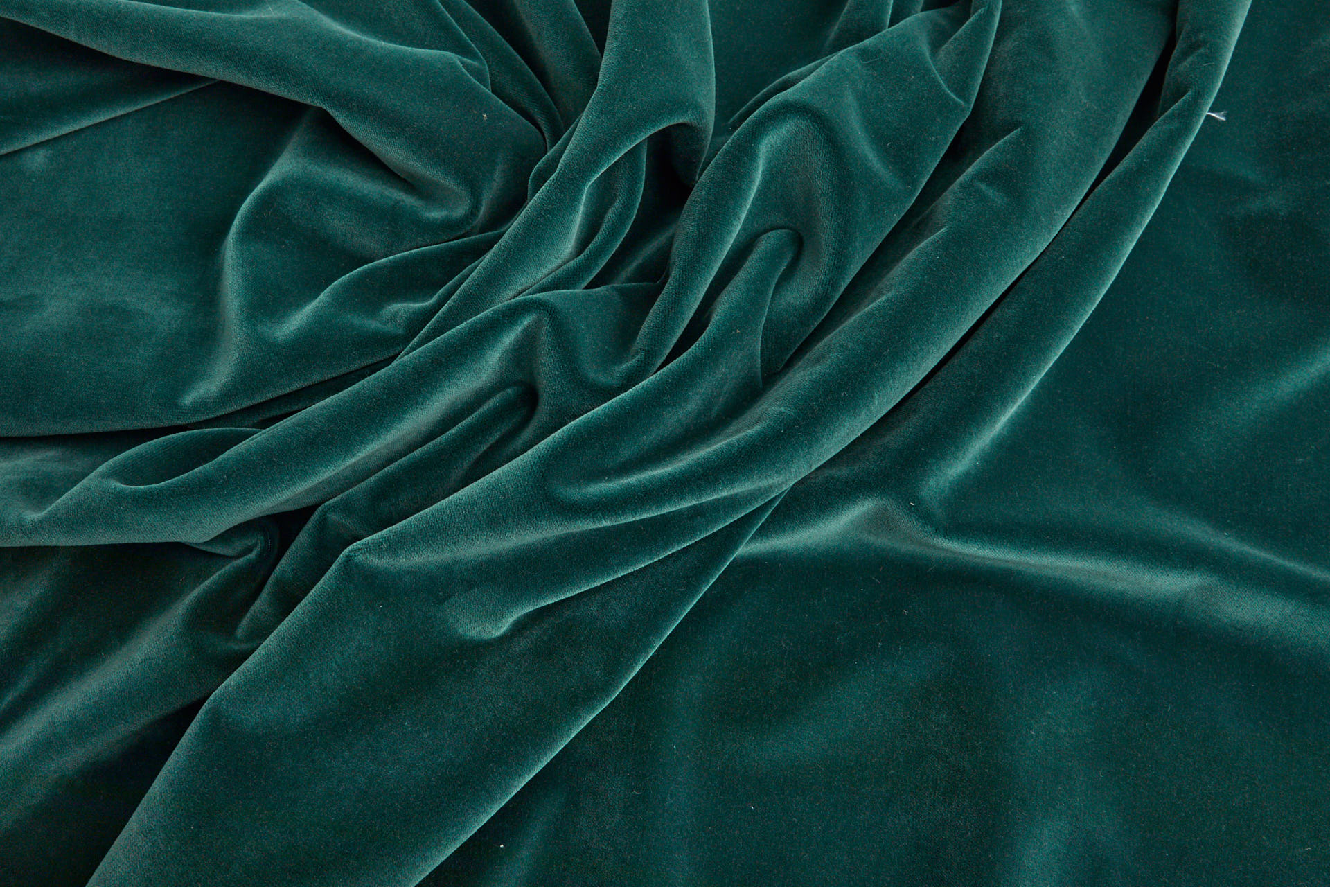 Heavy Cotton Velvet - Dark Fern fabric, image 6 of 7