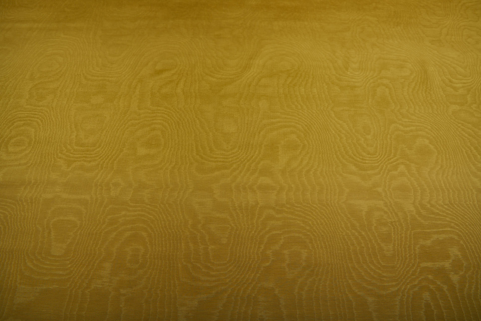 Limited Stock Moire Grosgrain - Luxor Gold fabric, image 7 of 10