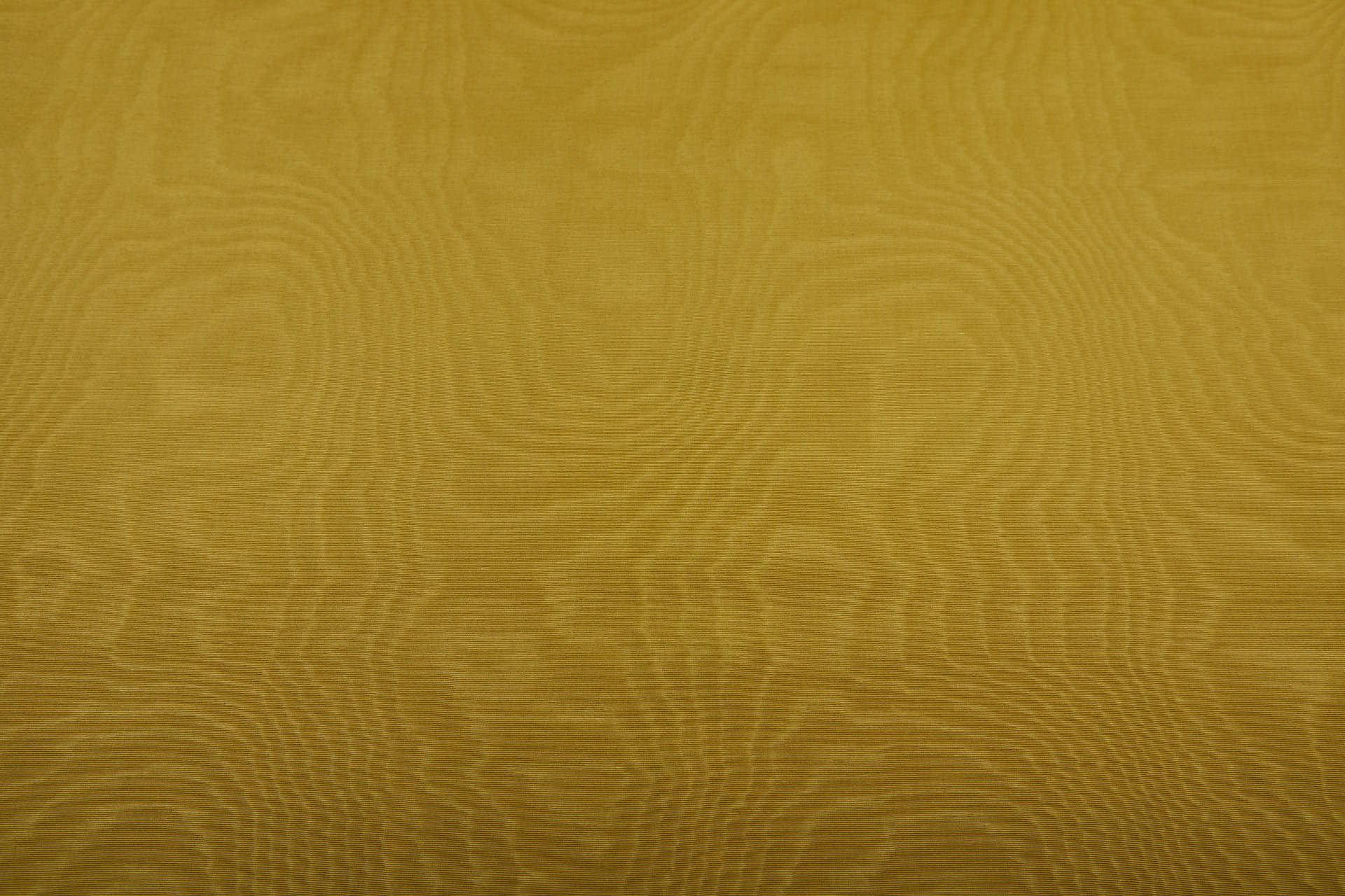 Limited Stock Moire Grosgrain - Luxor Gold fabric, image 9 of 10
