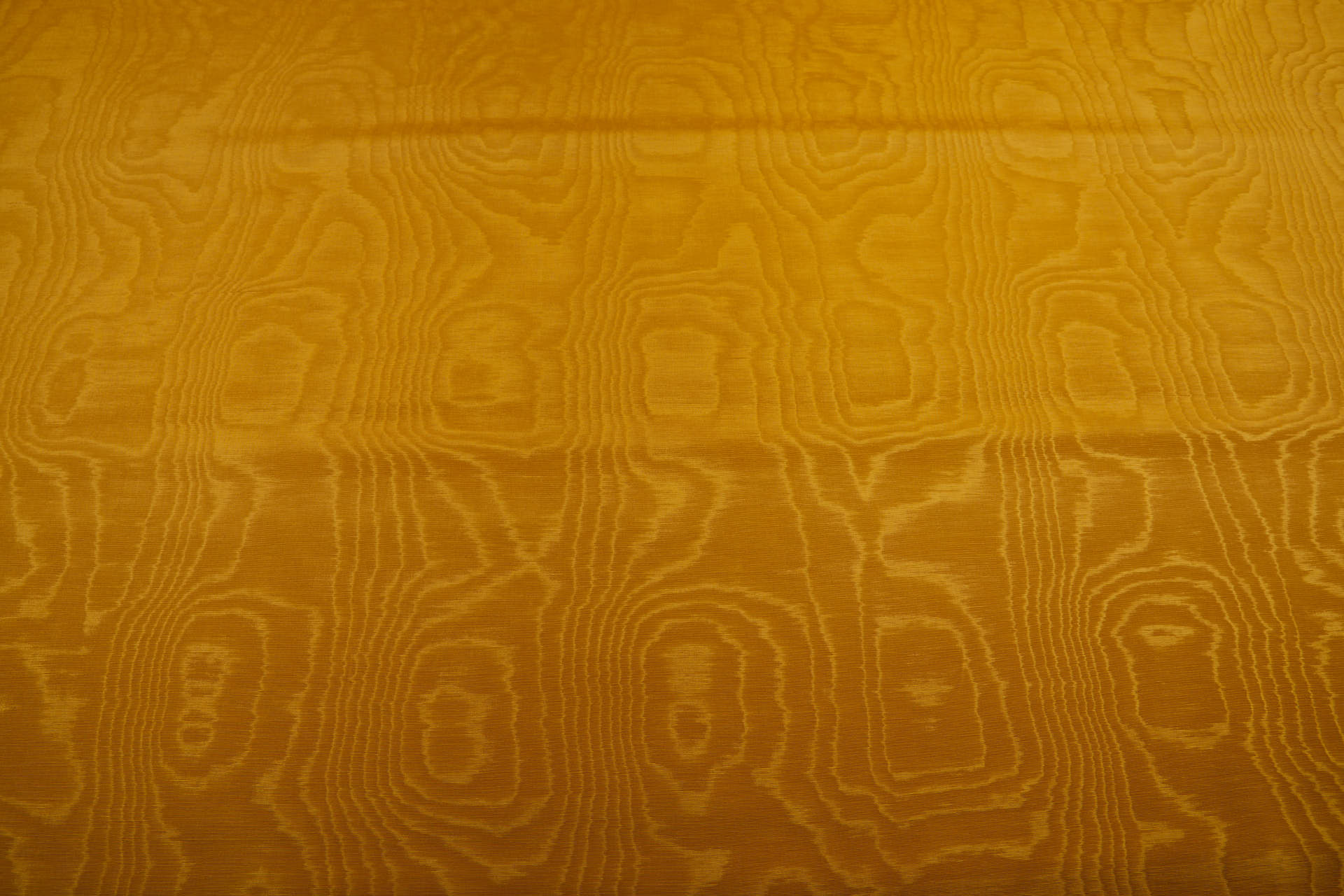 Limited Stock Moire Grosgrain - Turmeric Gold fabric, image 10 of 10