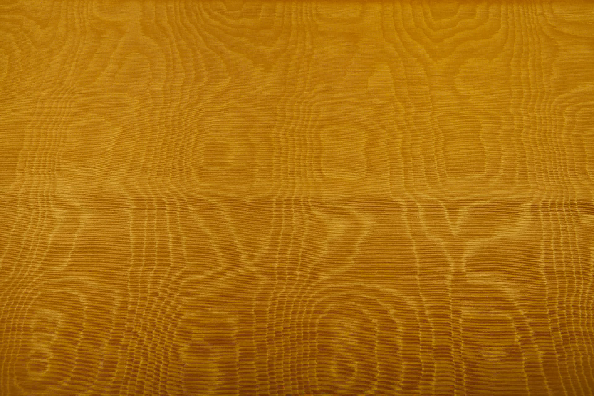Limited Stock Moire Grosgrain - Turmeric Gold fabric, image 4 of 10