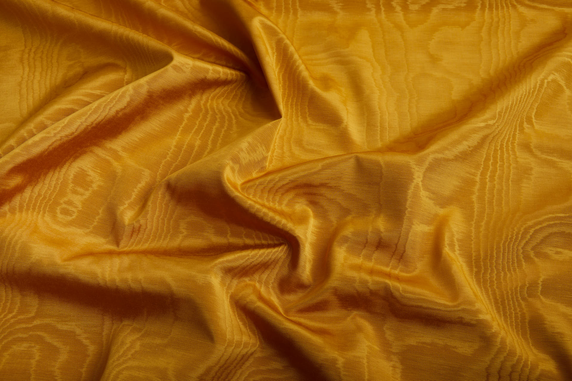 Limited Stock Moire Grosgrain - Turmeric Gold fabric, image 2 of 10