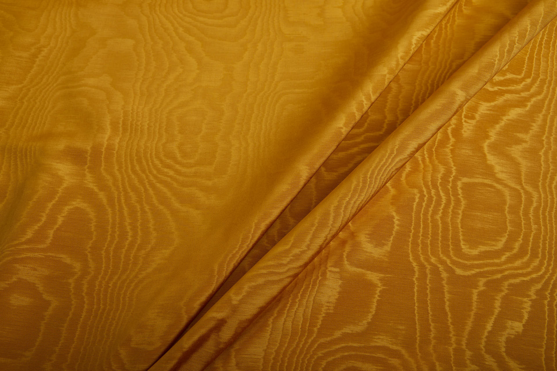 Limited Stock Moire Grosgrain - Turmeric Gold fabric, image 6 of 10