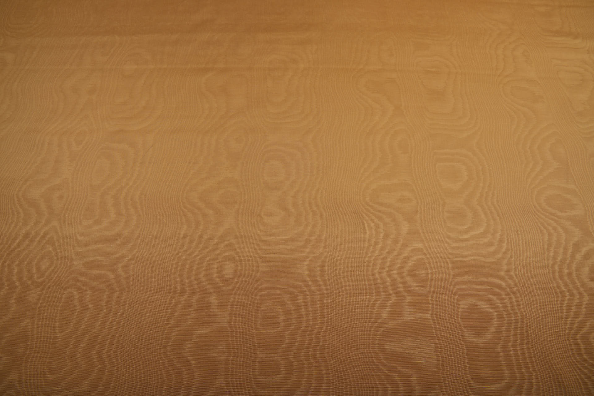 Limited Stock Moire Grosgrain - Fudge fabric, image 9 of 9