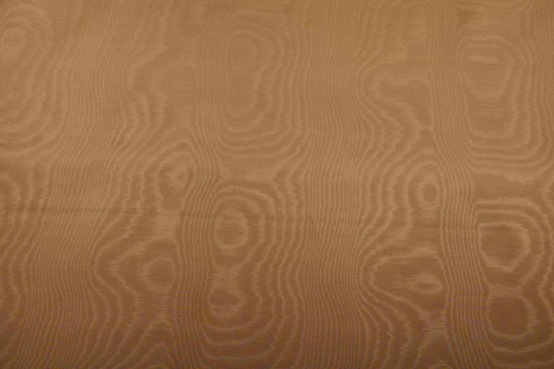 Limited Stock Moire Grosgrain - Fudge fabric, image 4 of 9