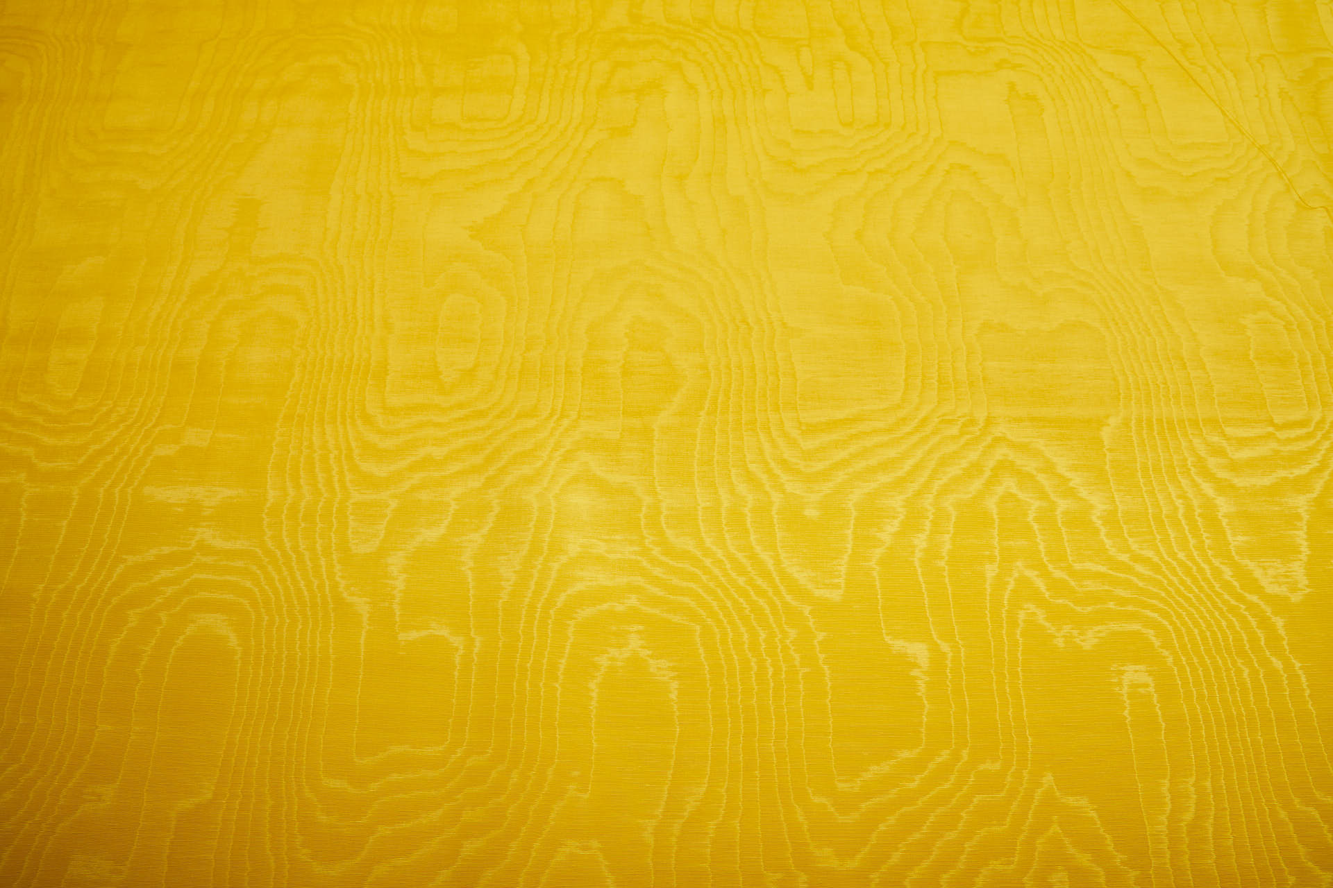 Limited Stock Moire Grosgrain - Sunflower fabric, image 10 of 10